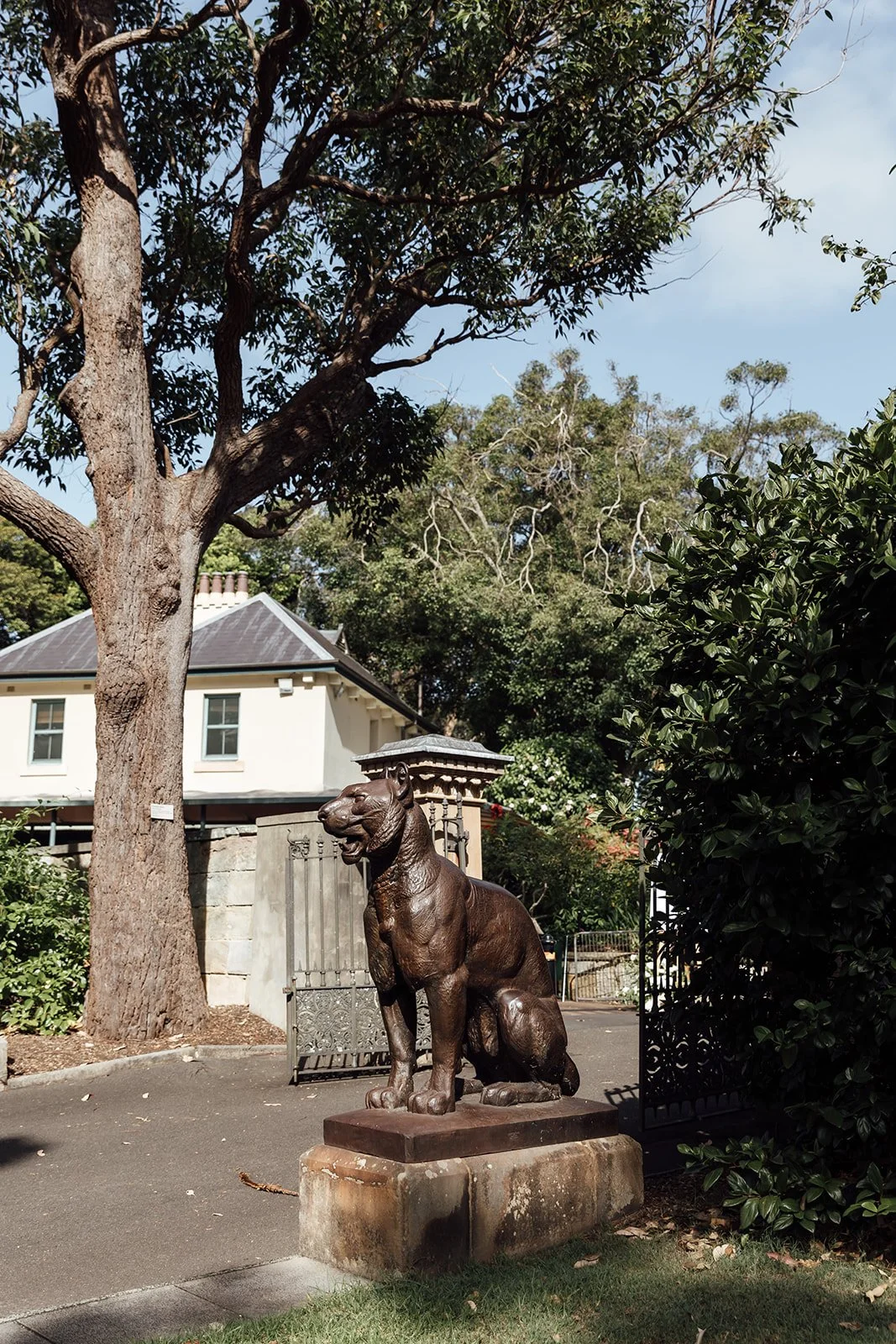 lion-gate-lodge-ceremony-royal-botanic-gardens-sonja-cenic-059.jpg