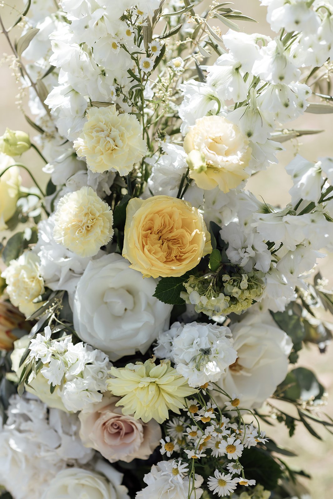 Greystone-estate-wedding-ceremony-Sonja_Cenic-0004.jpg