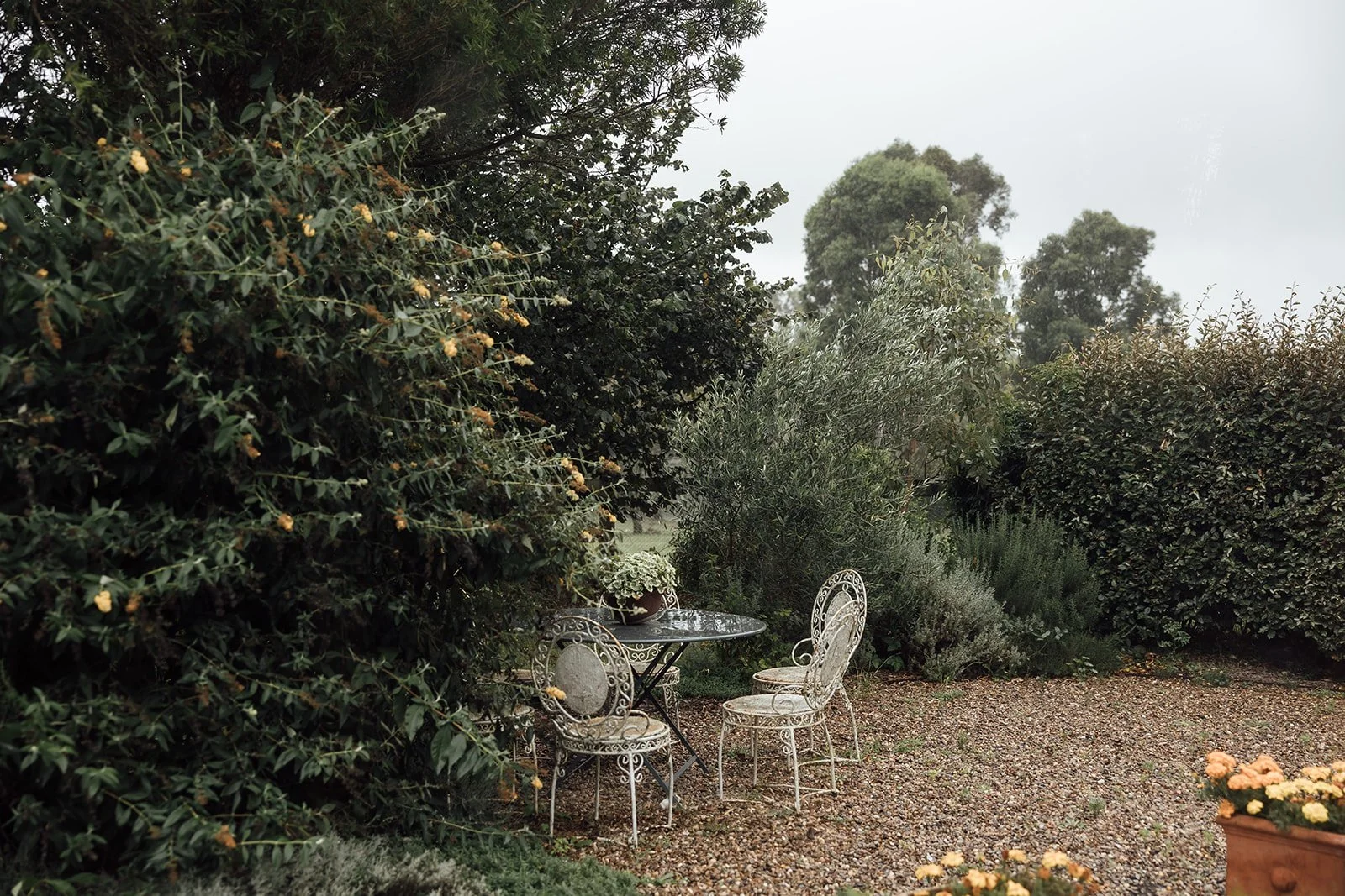 Bendooley-estate-Autumn-wedding-photos-Sonja-Cenic-0073.jpg