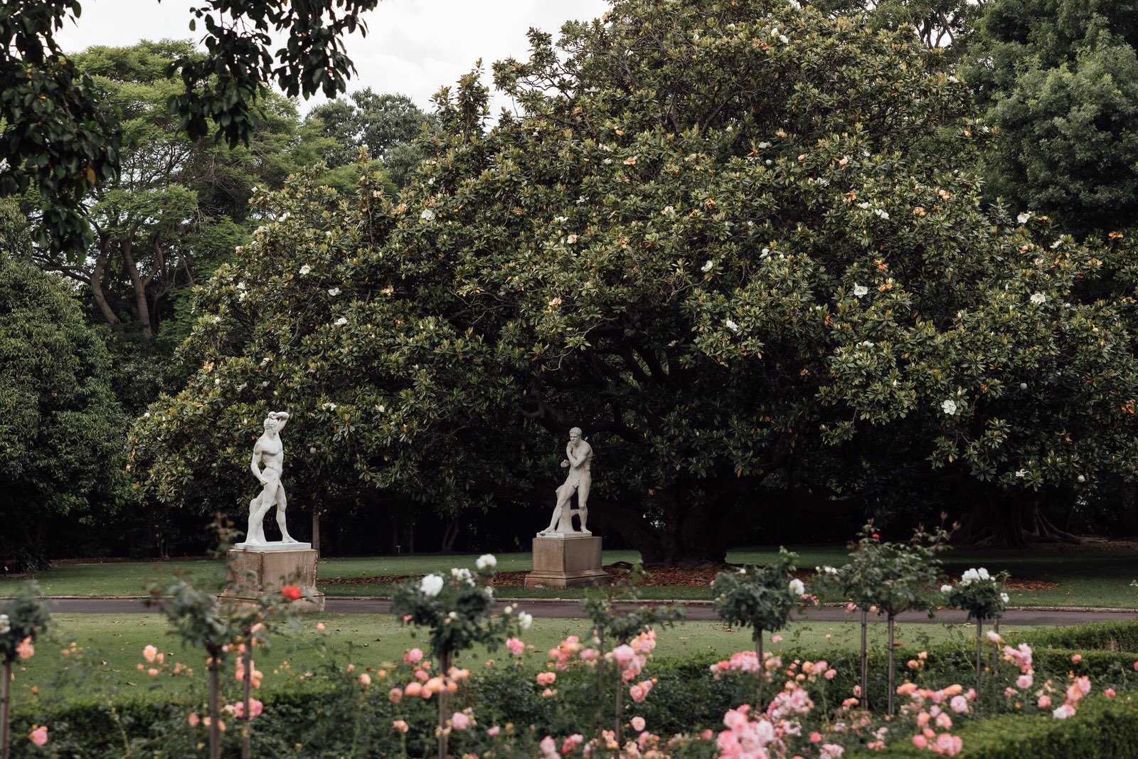 The Royal Botanic Garden Sydney
