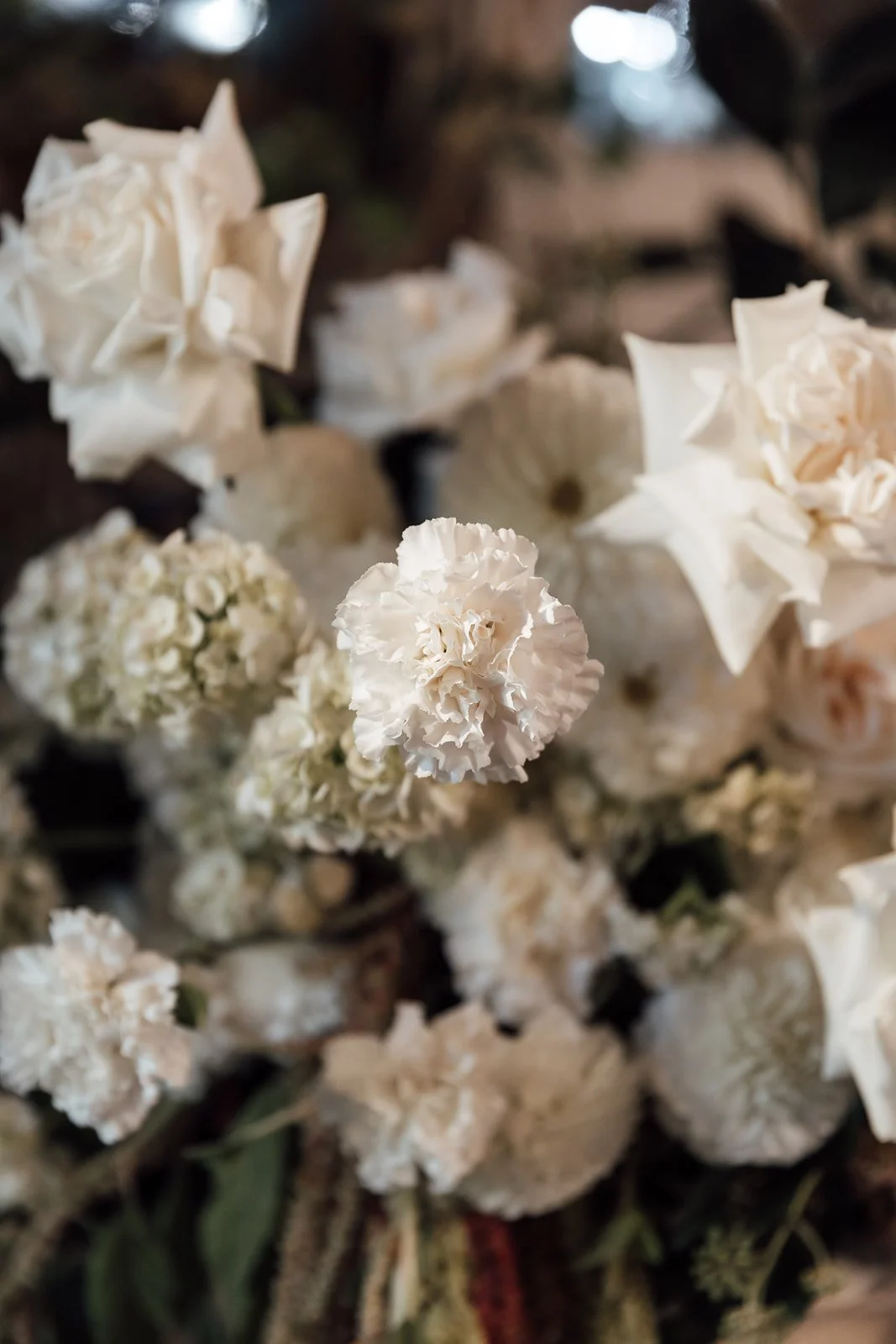 Somerley-House-Southern-Highlands-Wedding-Reception-Photography--13.jpg