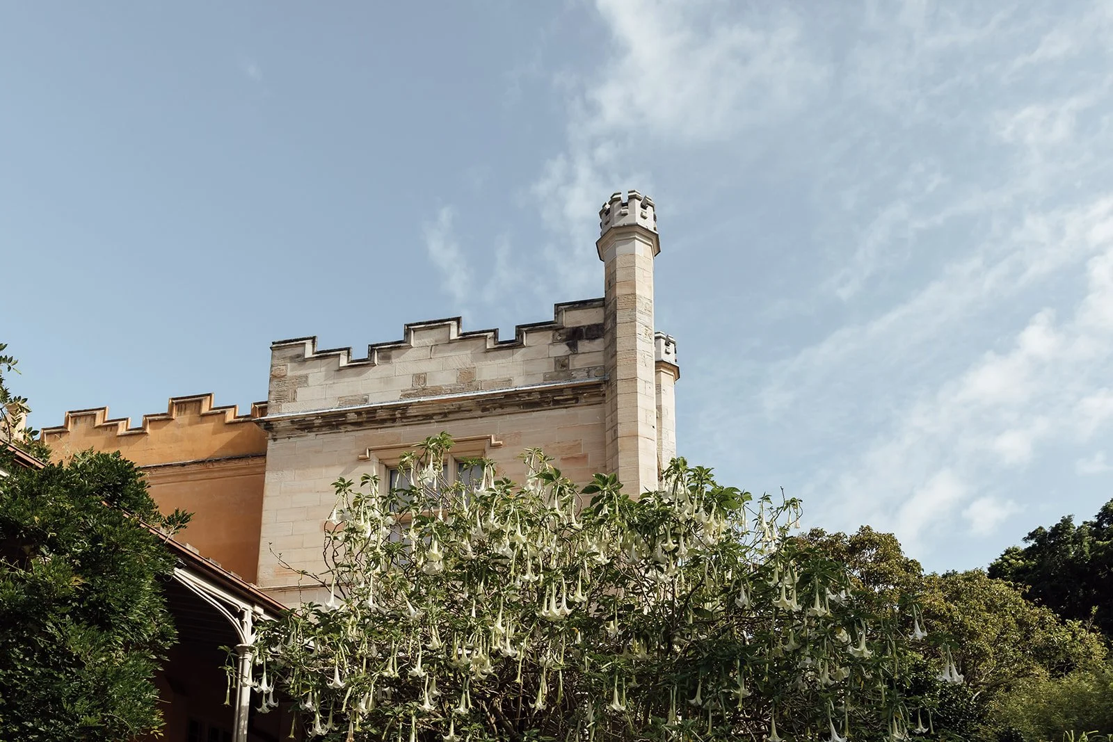 Sonja_Cenic_Wedding_Photography_Vaucluse_House_Sydney-0059.jpg