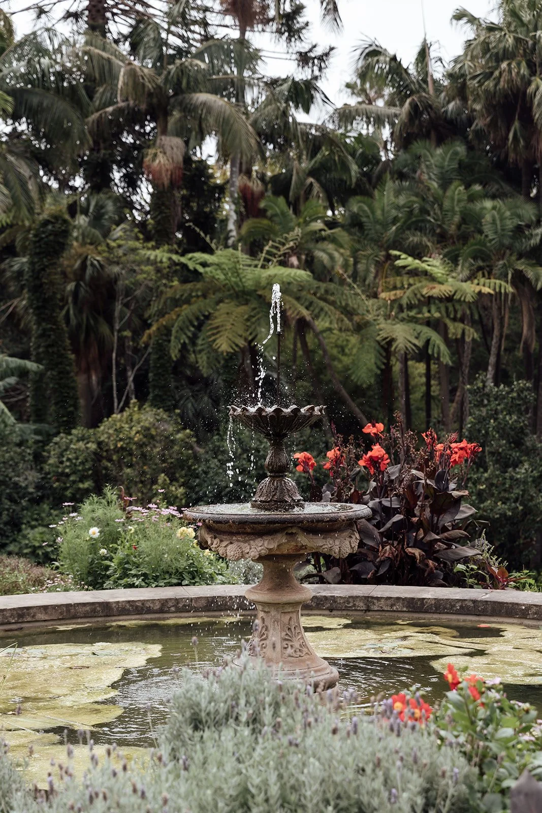 Sonja_Cenic_Wedding_Photography_Vaucluse_House_Sydney-0023.jpg