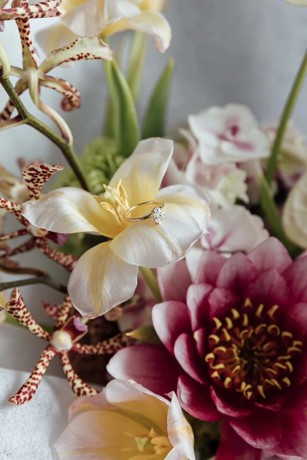 Sonja_Cenic_Wedding_Photography_Vaucluse_House_Sydney-0004.jpg