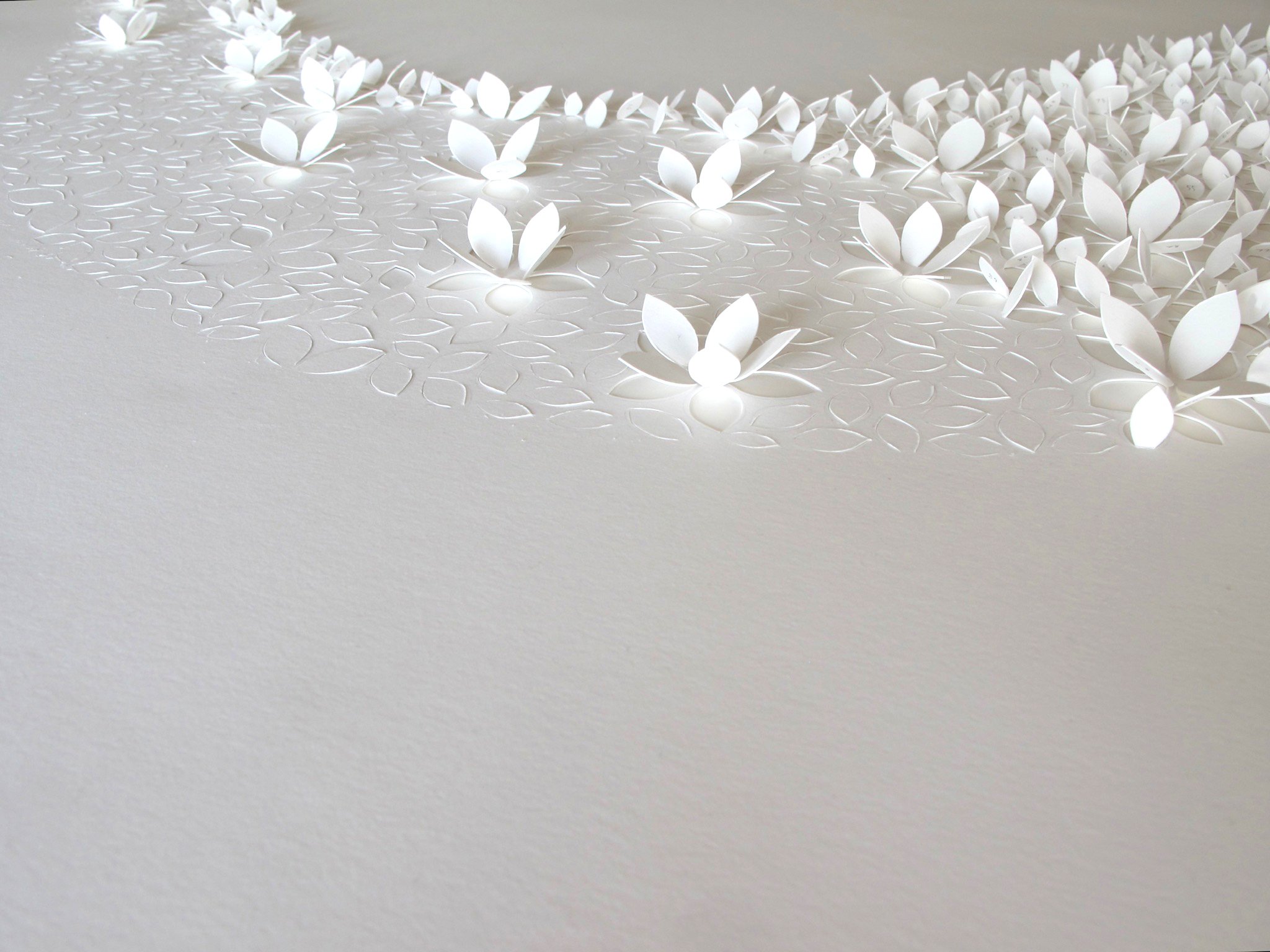 Star Fire_Belcher detail 2.jpg