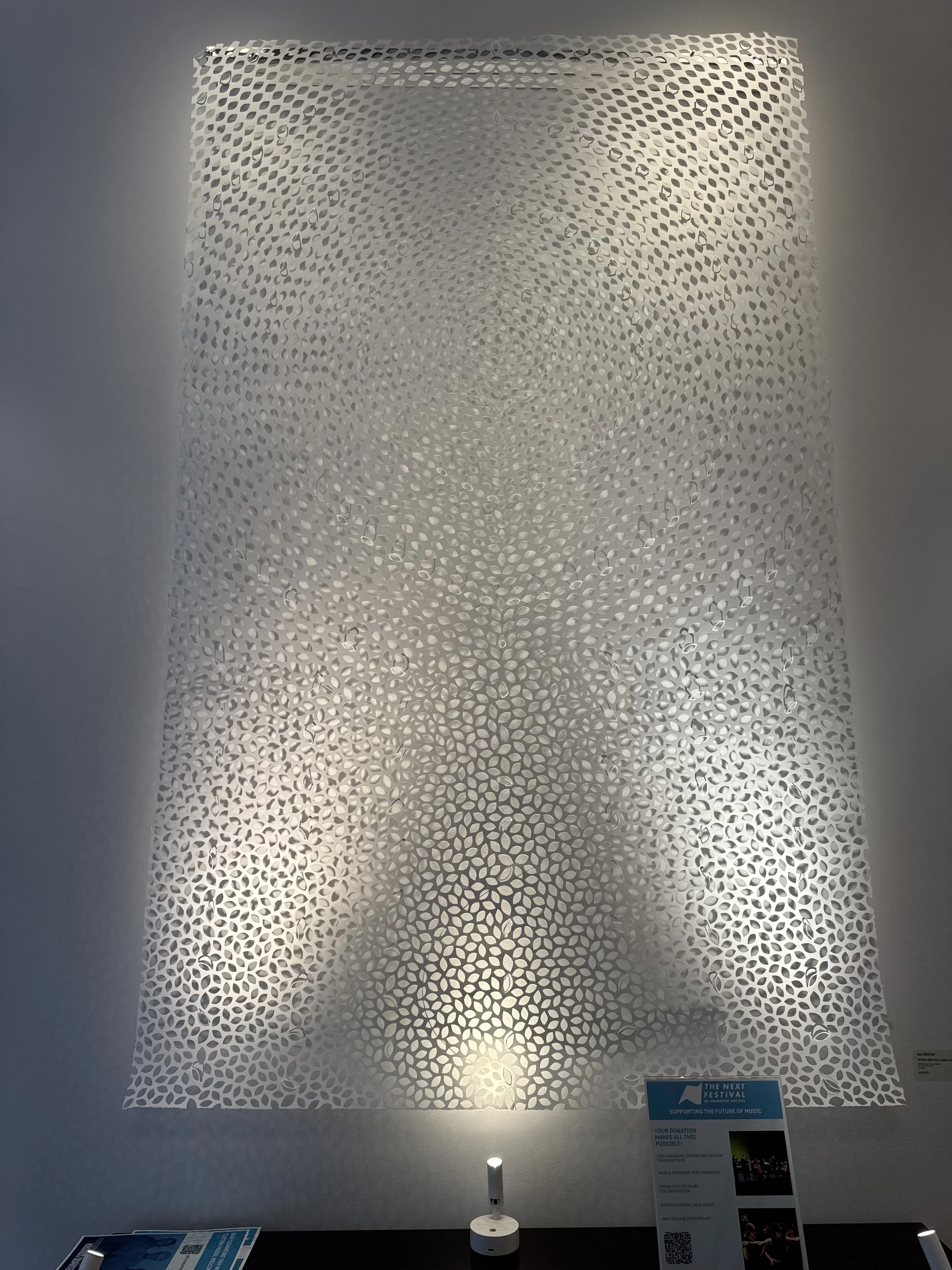 Light We Cannot See is an oversized Panel by Jaq Belcher, it is created to remain open, unframed.  This piece has thousands of vesica piscis created and mapped to appear along with delicate line.