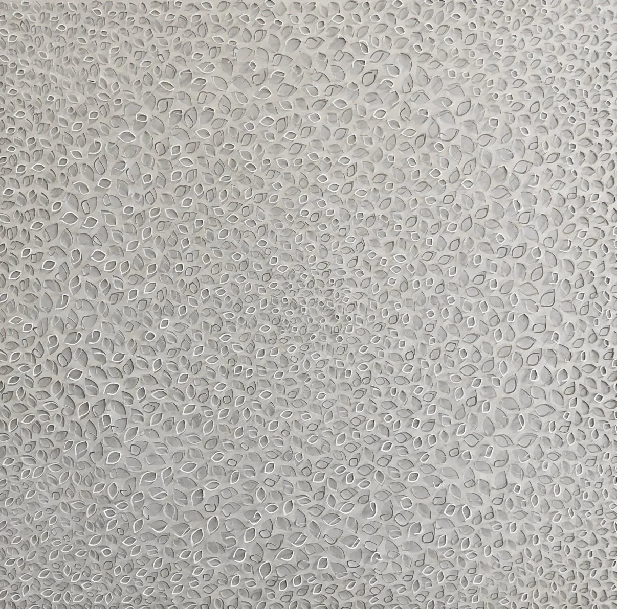  Jaq Belcher Sky Roots