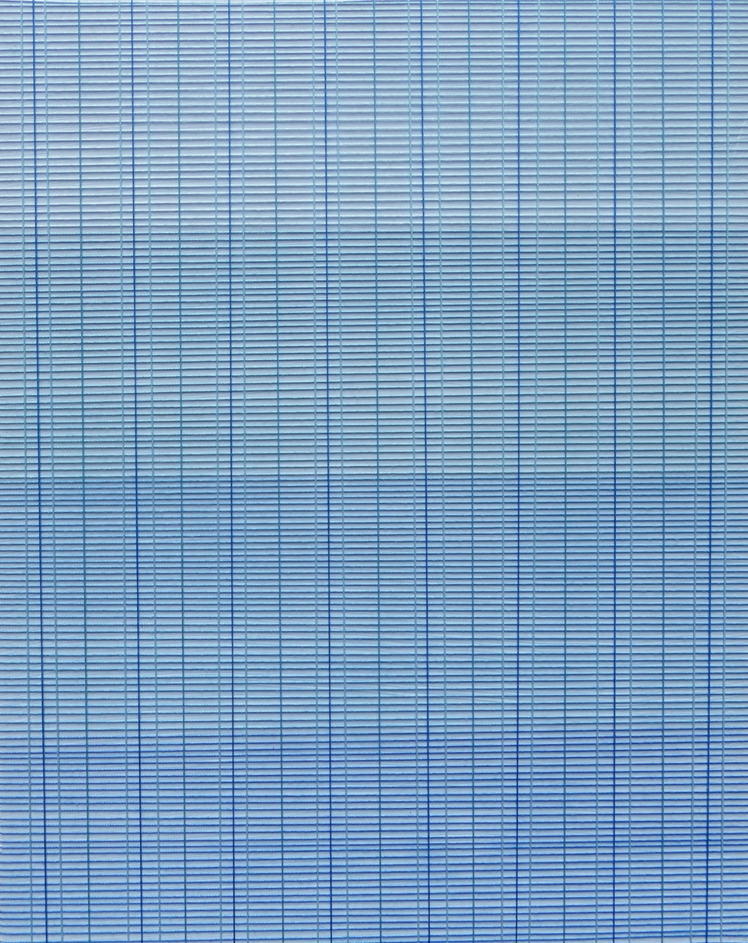 eidyllion_(blue)_10x8_2500 cropped.png
