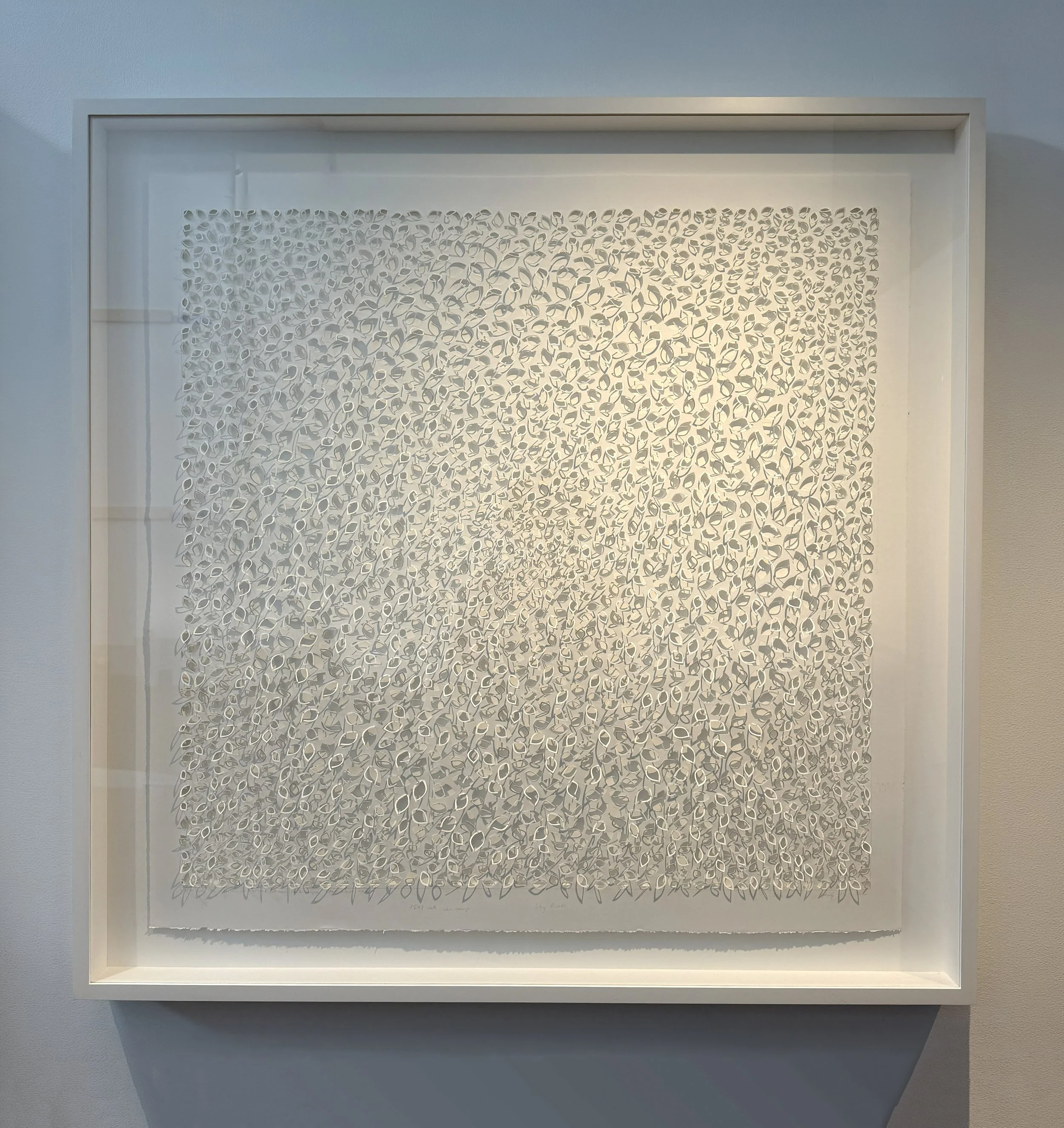 sky roots_framed_aspen_belcher.jpg