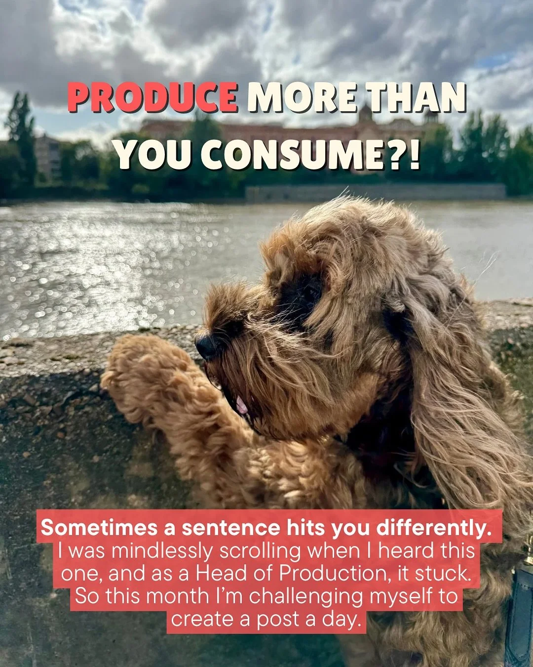 Produce more than you consume.
That one line hit me differently &mdash; and it&rsquo;s the reason I&rsquo;m challenging myself to a post a day this month. 🎯
It doesn&rsquo;t have to be perfect. It doesn&rsquo;t even have to be polished. But it does 