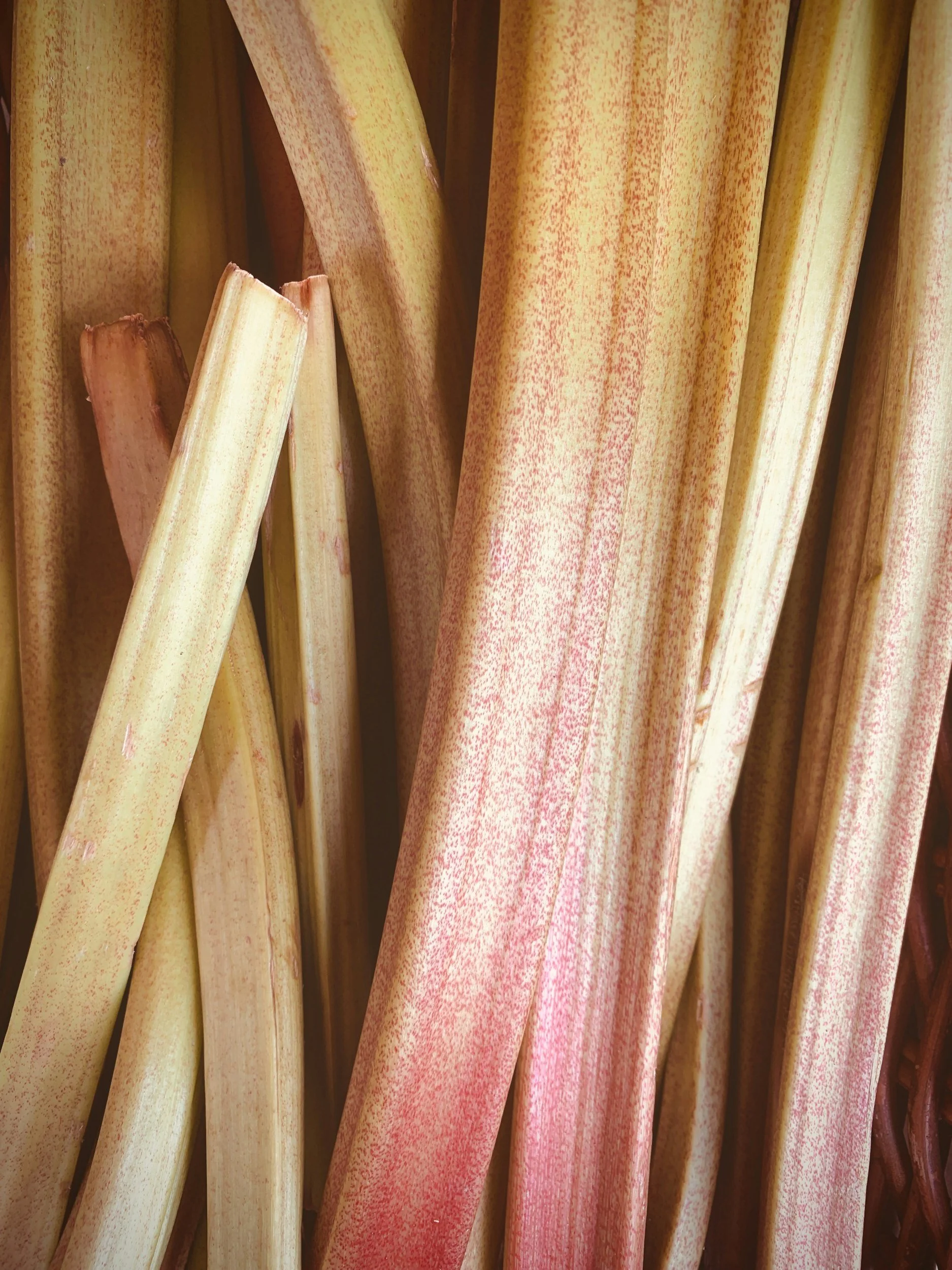 Rhubarb Compote