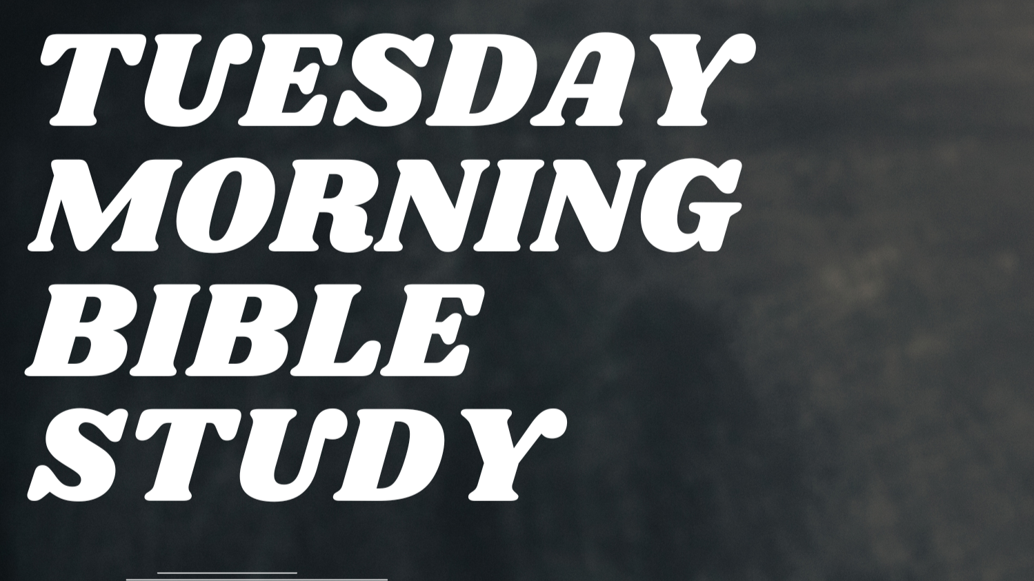 Bible Study