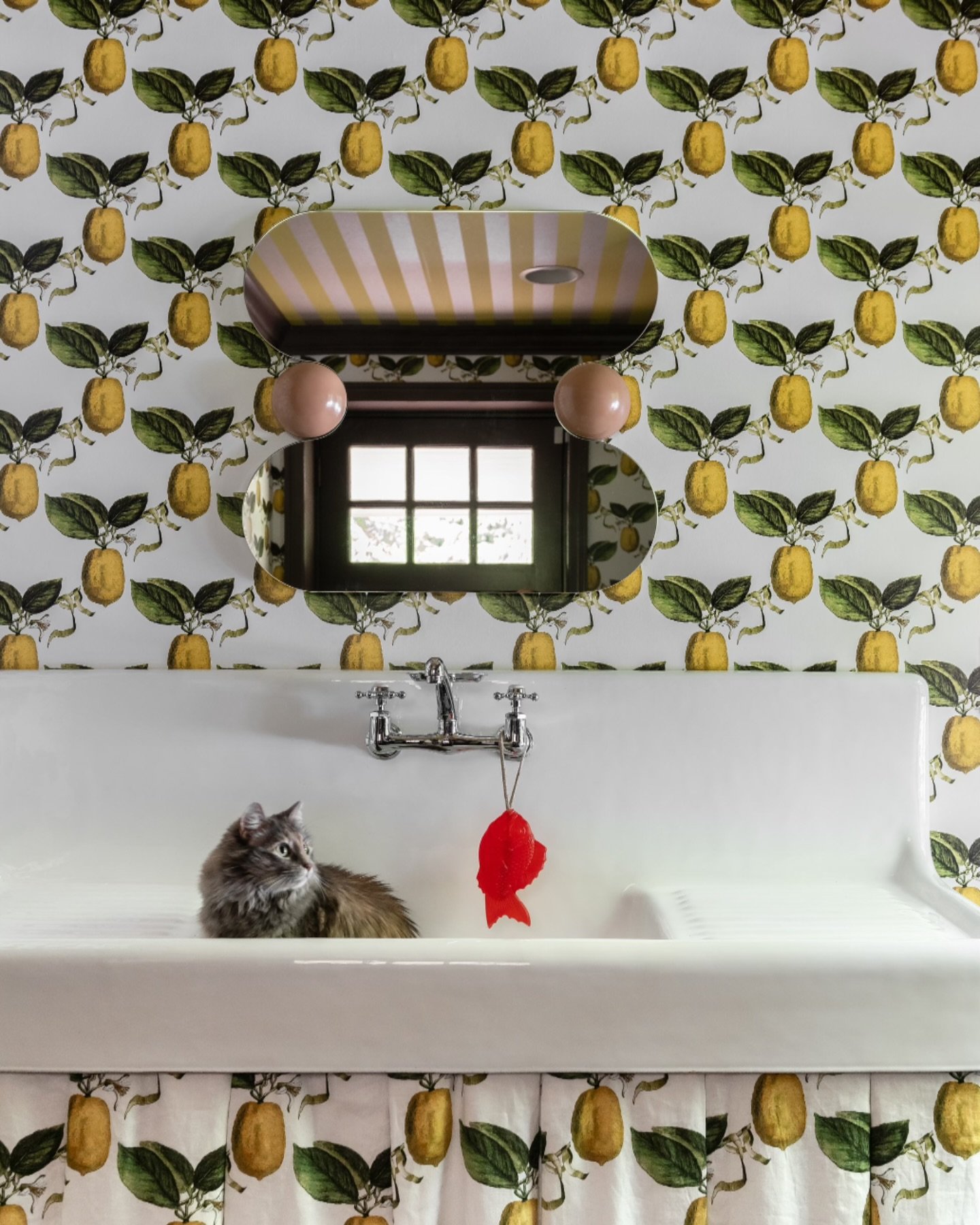Squeeze. 

#houseofturk #squeeze #mudroom #lemon #design #interiors #fun #catsofinstagram #soaponarope #washyourhands #mudroomdesign #haverford #mainlinepa 

📷 @sarahvirginiaco
