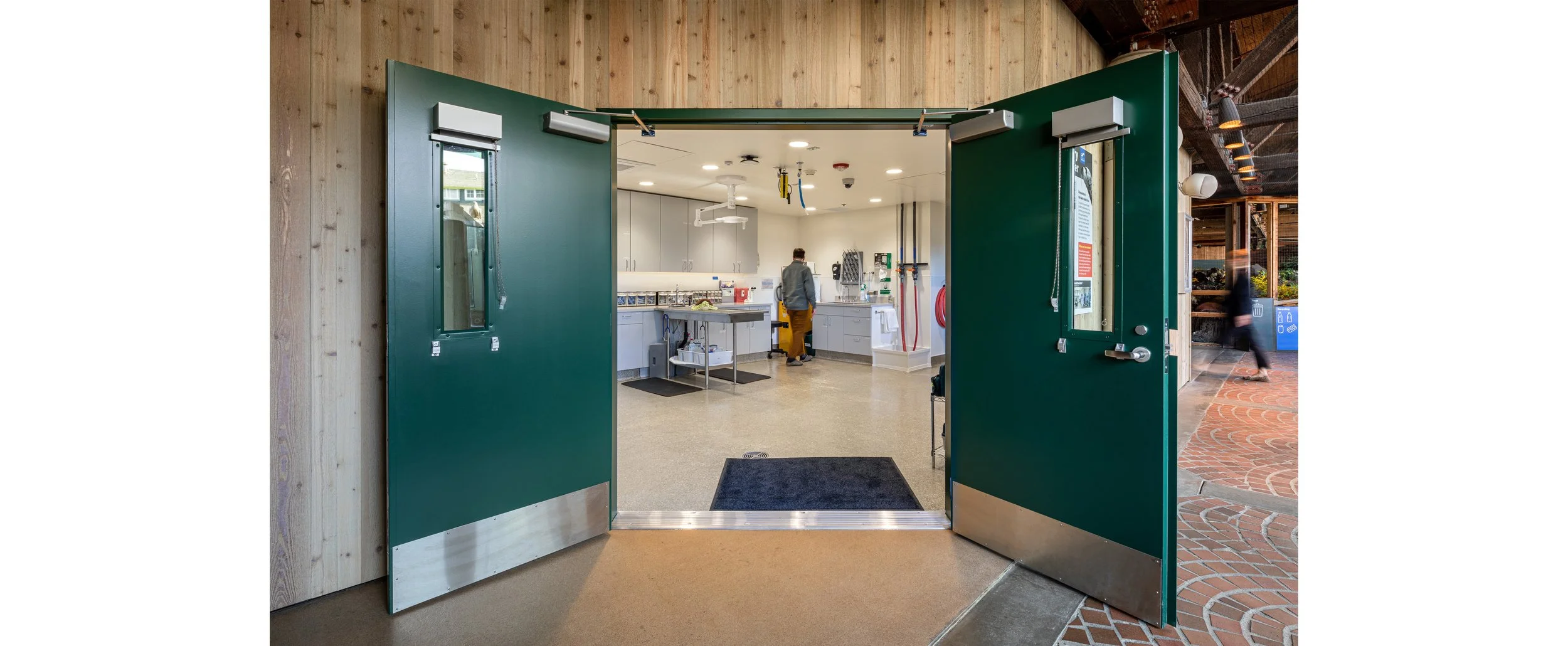 Seattle-Aquarium-Vet_JA-Community__Photo-by-Andrew-Nam (2).jpg