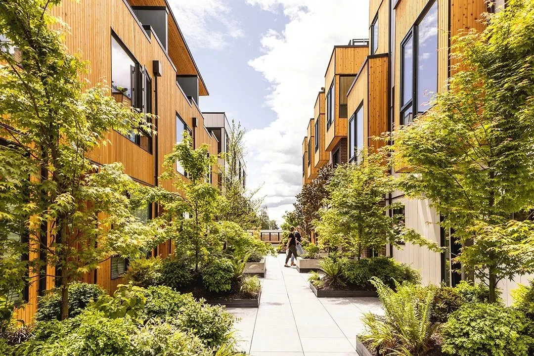 How We Designed Climate-Friendly Townhomes in a Single-Family Neighborhood