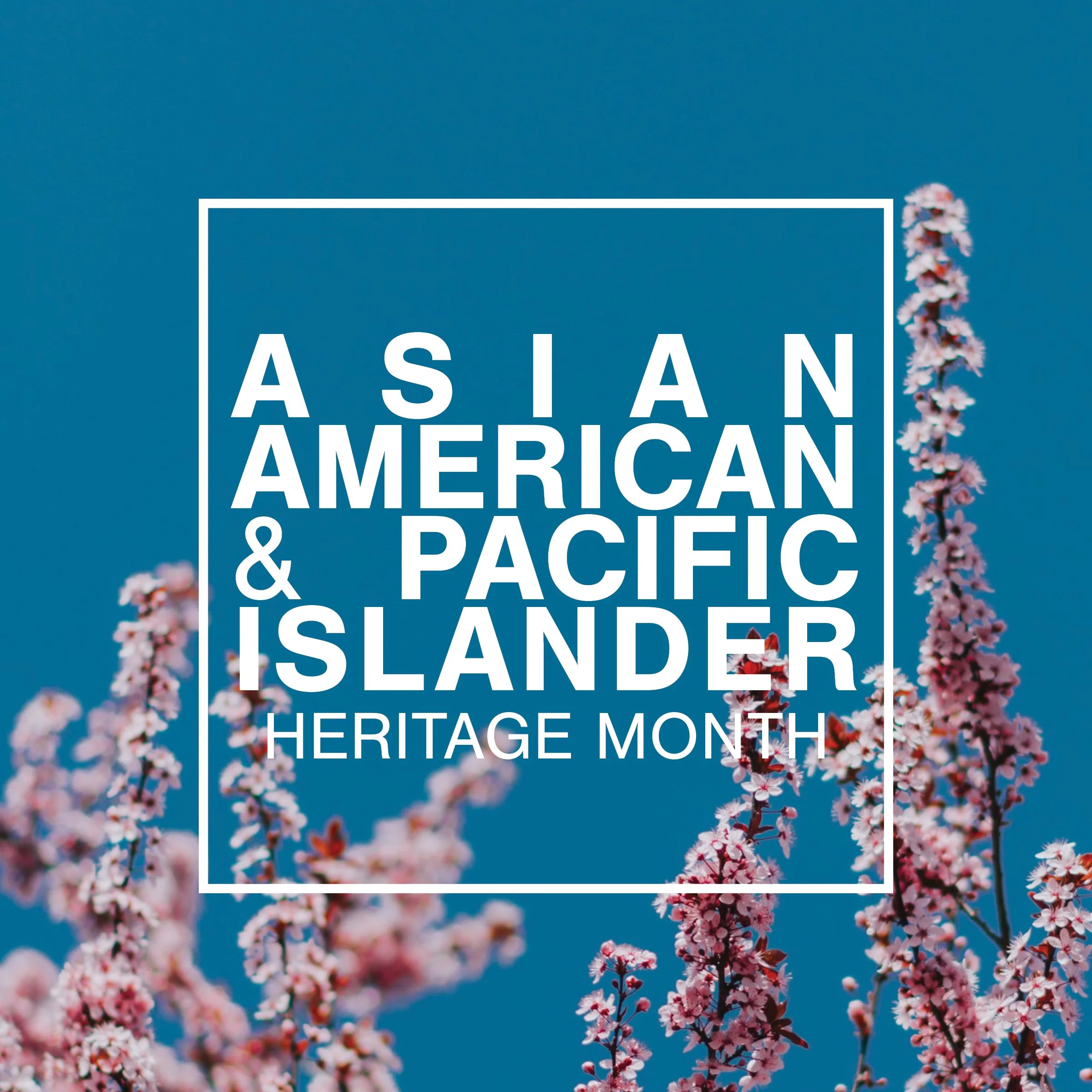 Organizations That Support AAPI Designers