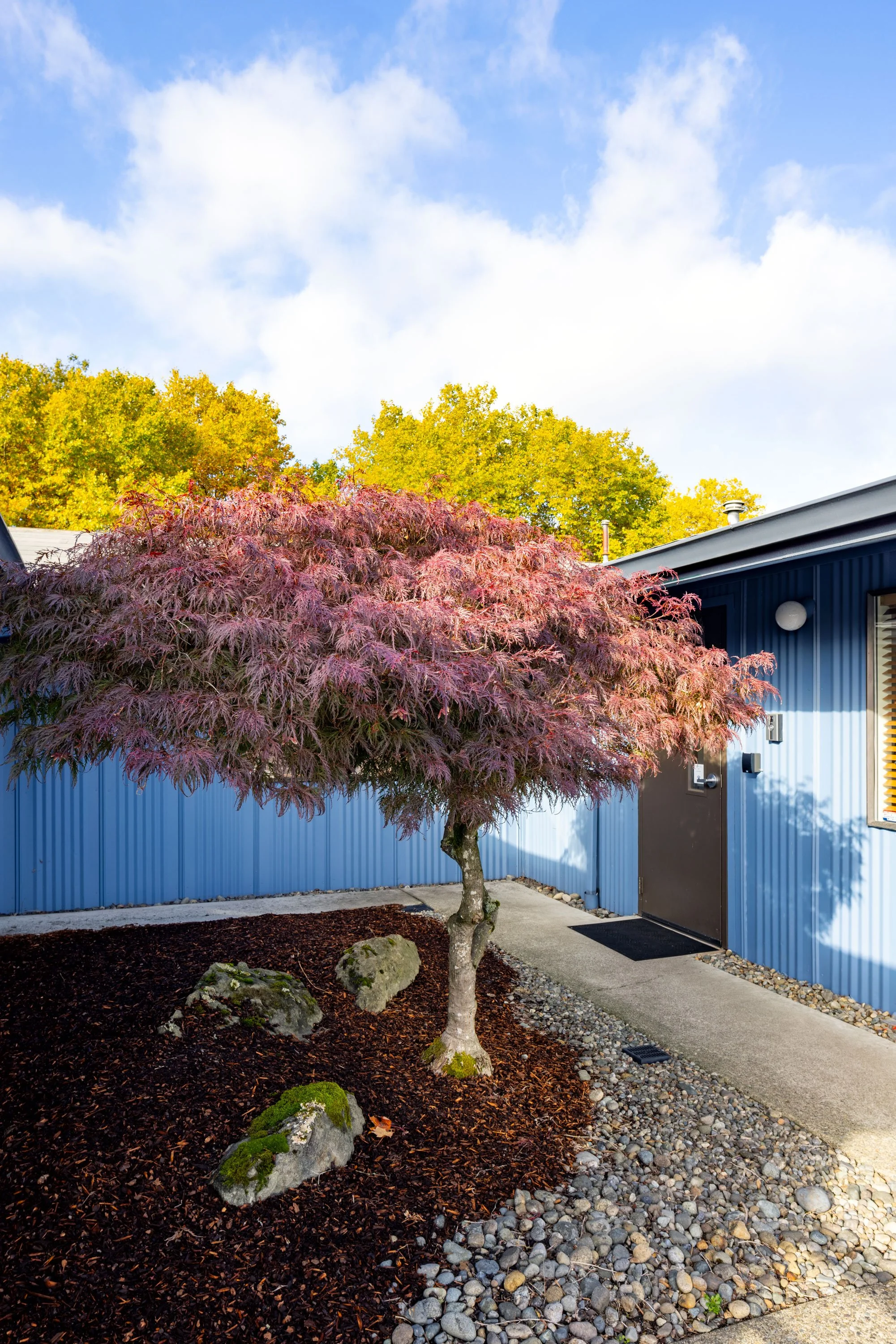 Renton-Municipal-Airport_JA-Workplace__Photo-by-Francis-Zera (16).jpg