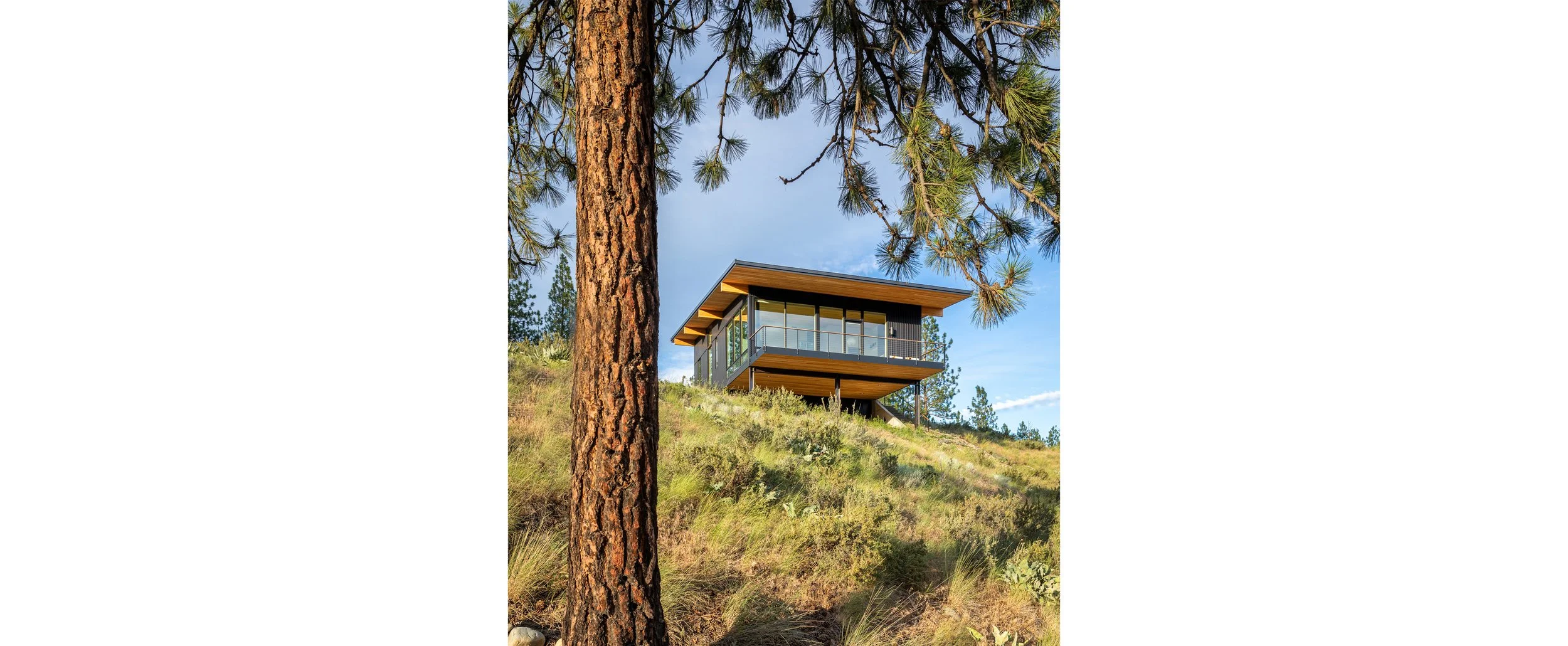 Appaloosa_JA-Residential_Photo (1).jpg