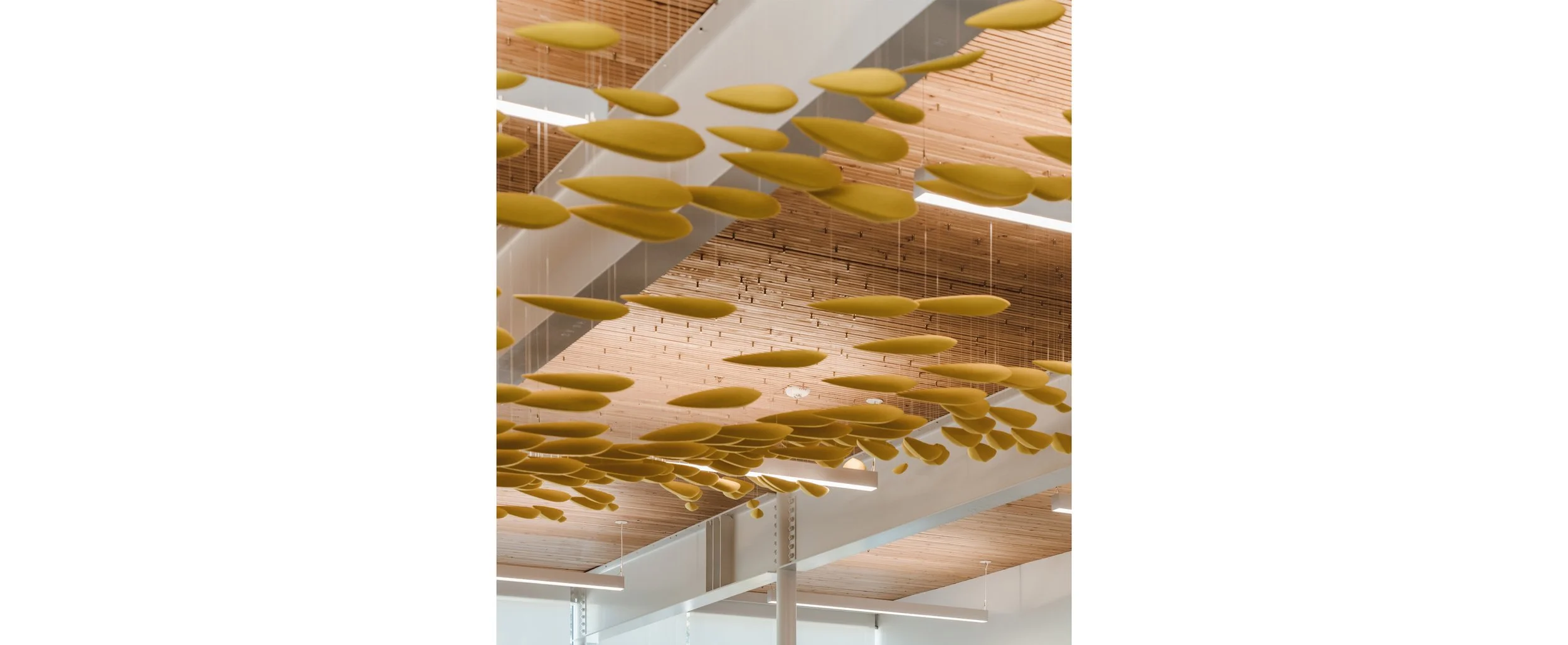 Oak-Lodge-Library_JA-Civic-Community__Photo-by-Nicholas Kielbasa (3).jpg