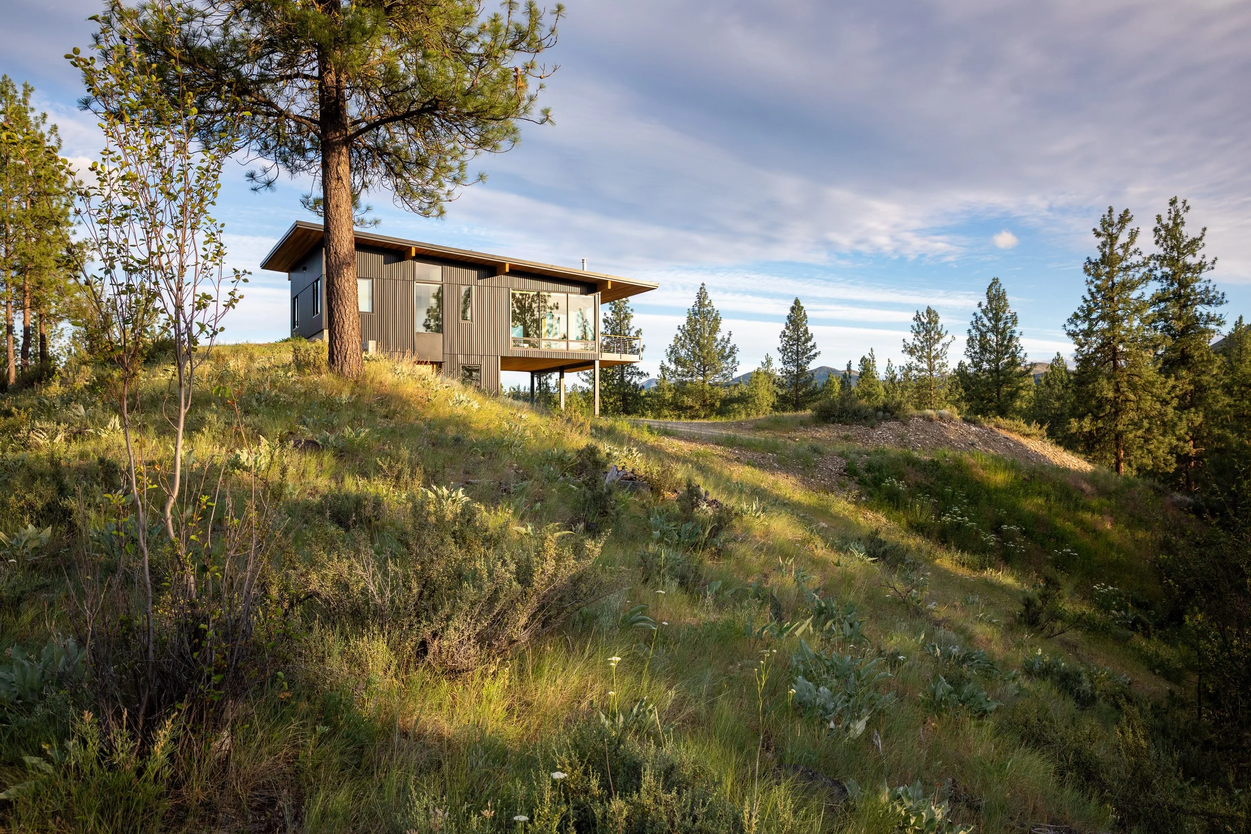 Appaloosa_JA-Residential_Photo (2).jpg