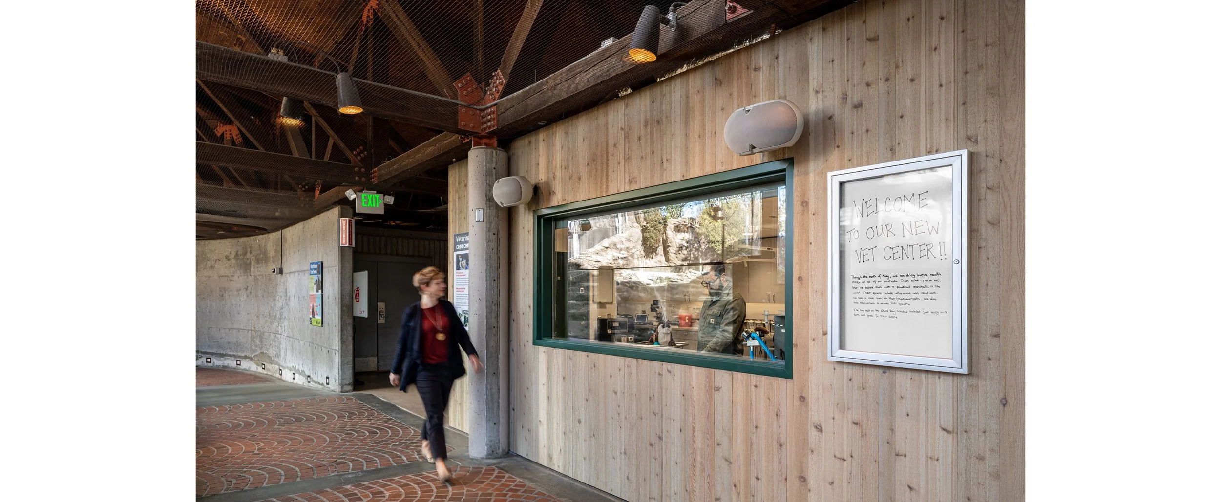 Seattle-Aquarium-Vet_JA-Community__Photo-by-Andrew-Nam (3).jpg