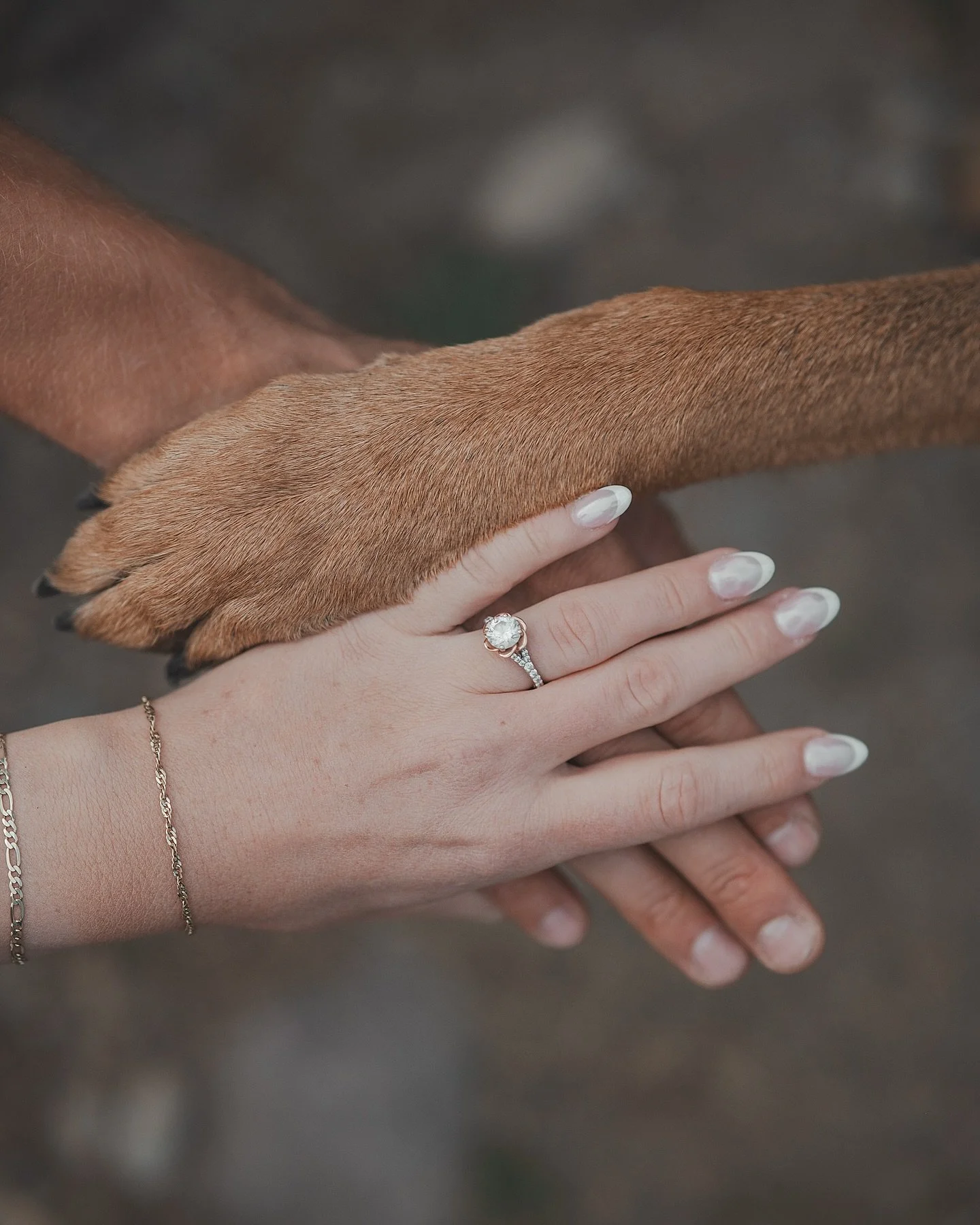 This calls for a cheers, and Rose (their awesome german shepherd) agrees.
.
#calgaryweddingphotographer #yycweddingphotographer