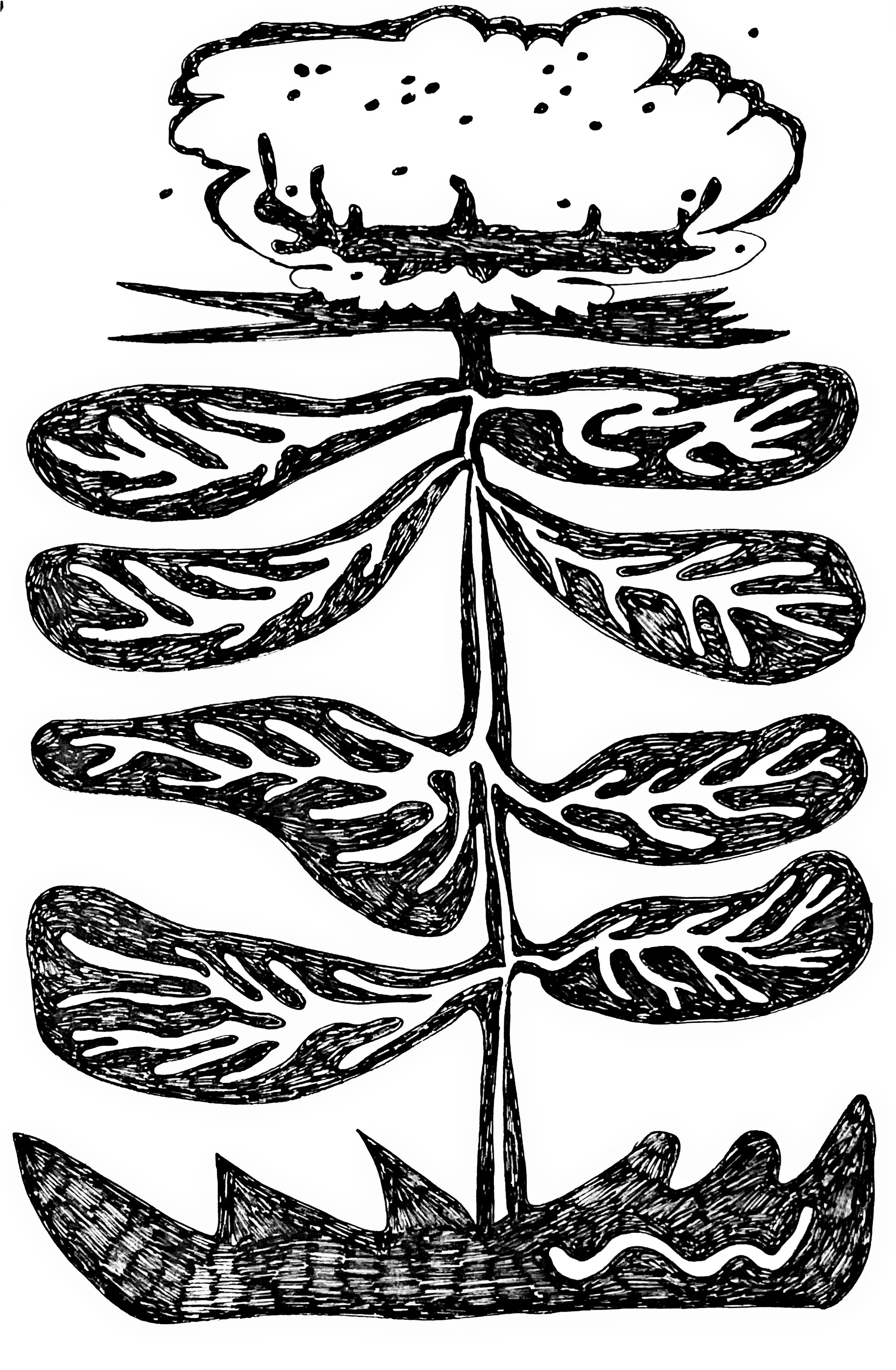 root system #1, ink on paper