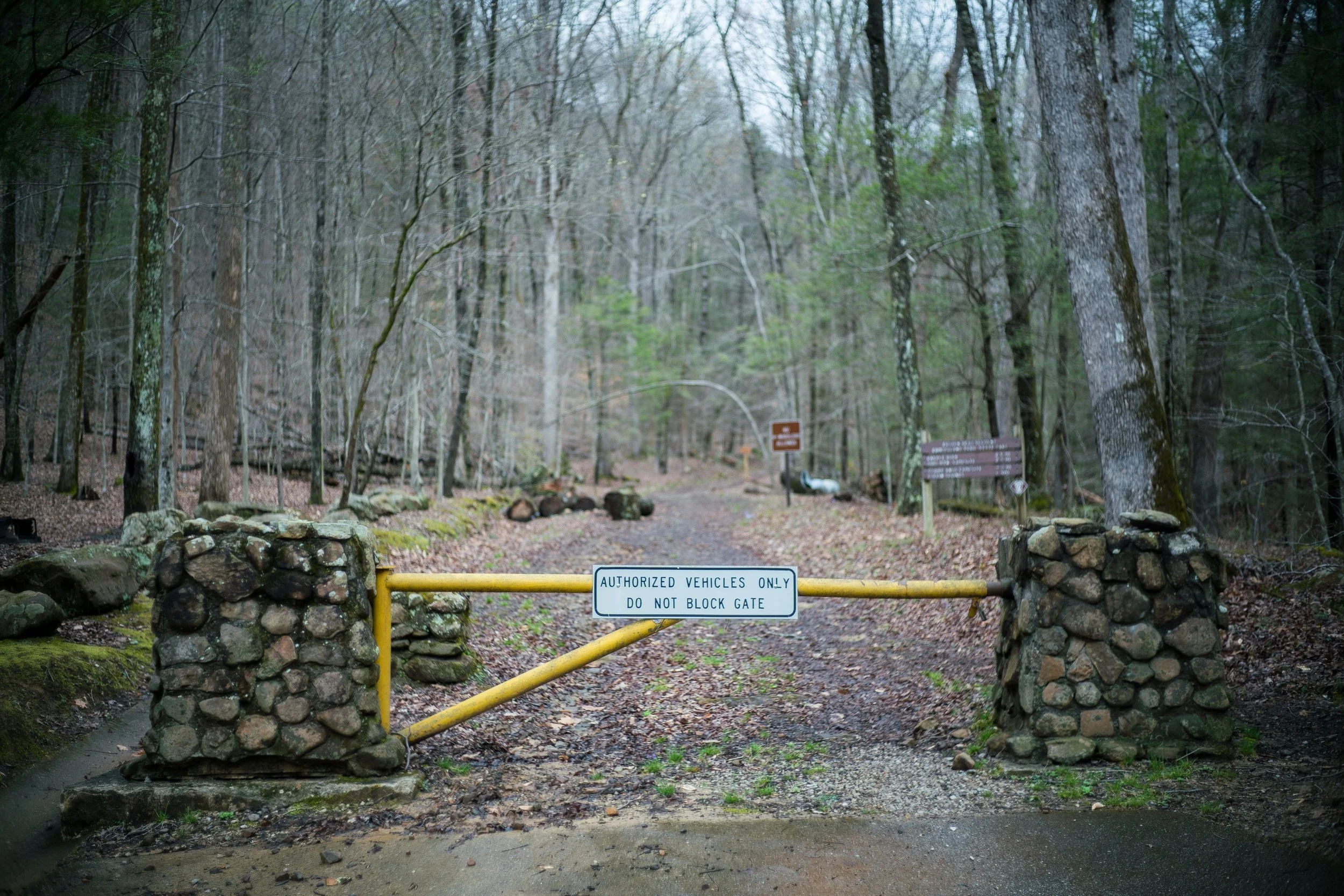 The 2025 Barkley Marathons Recap