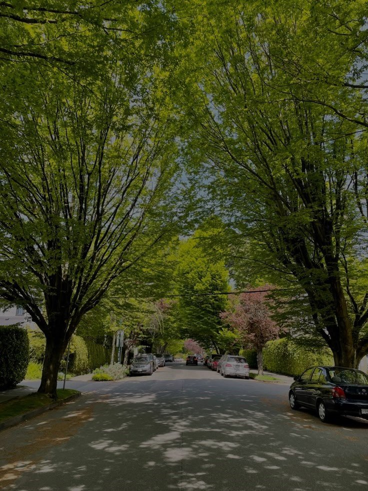 Kitsilano Neighbourhood.jpg