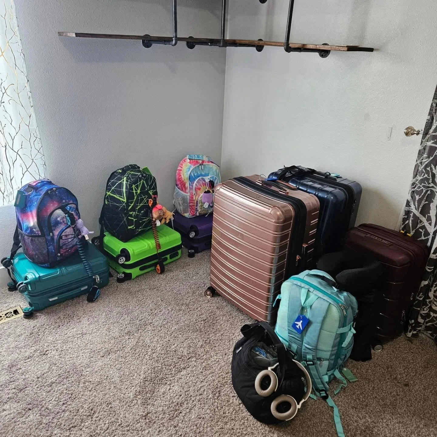 a placenta and a pickaxe