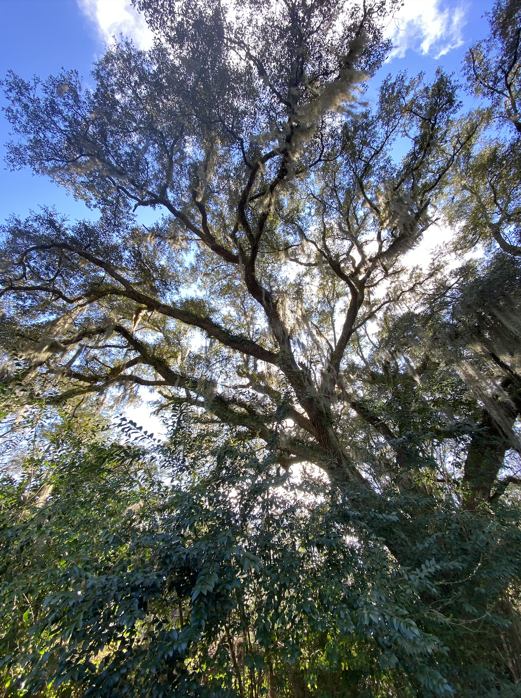 Screen Shot 2024-02-11 at 12.44.24 PM.png