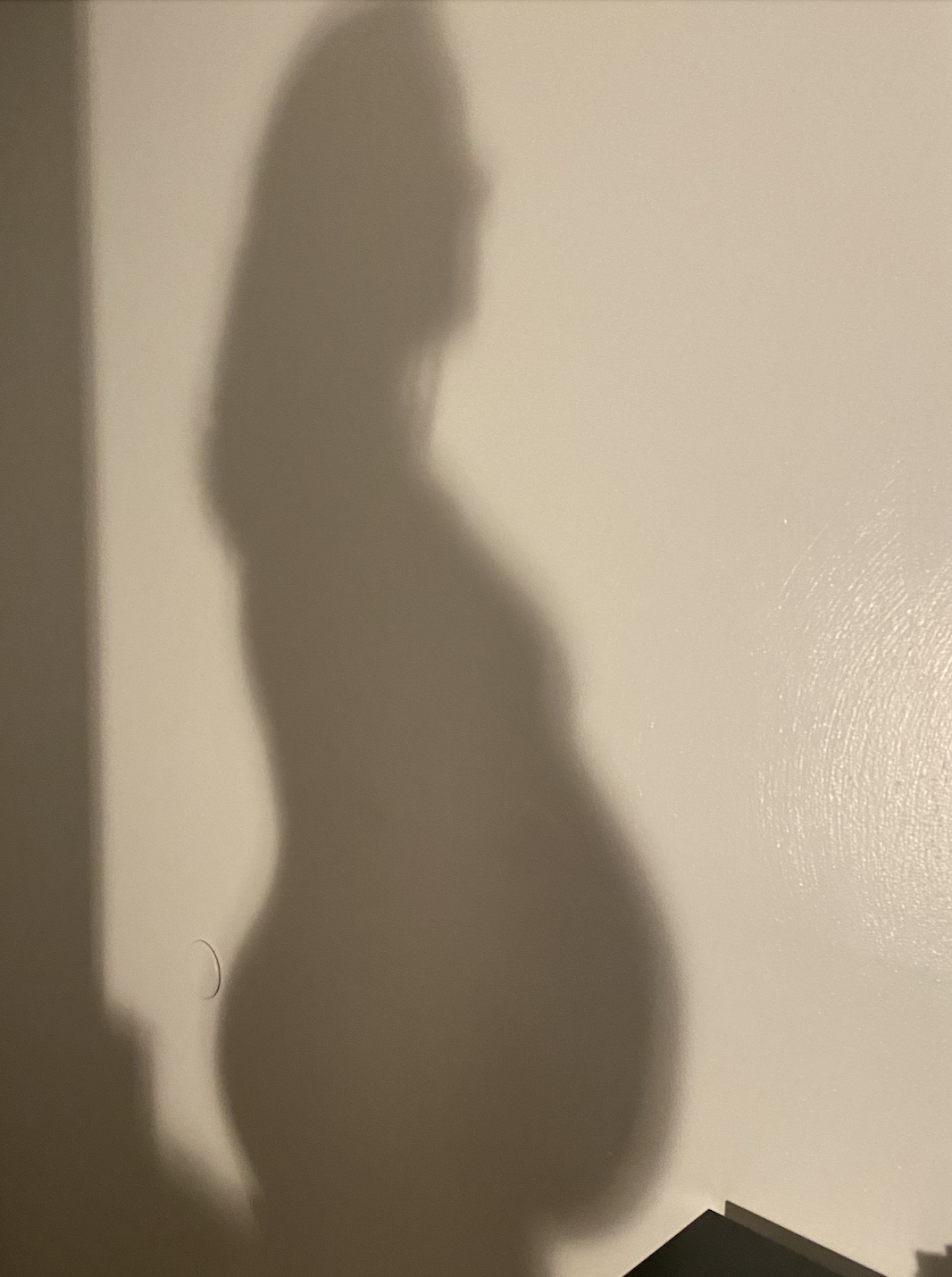 Screen Shot 2024-02-11 at 12.41.46 PM.png