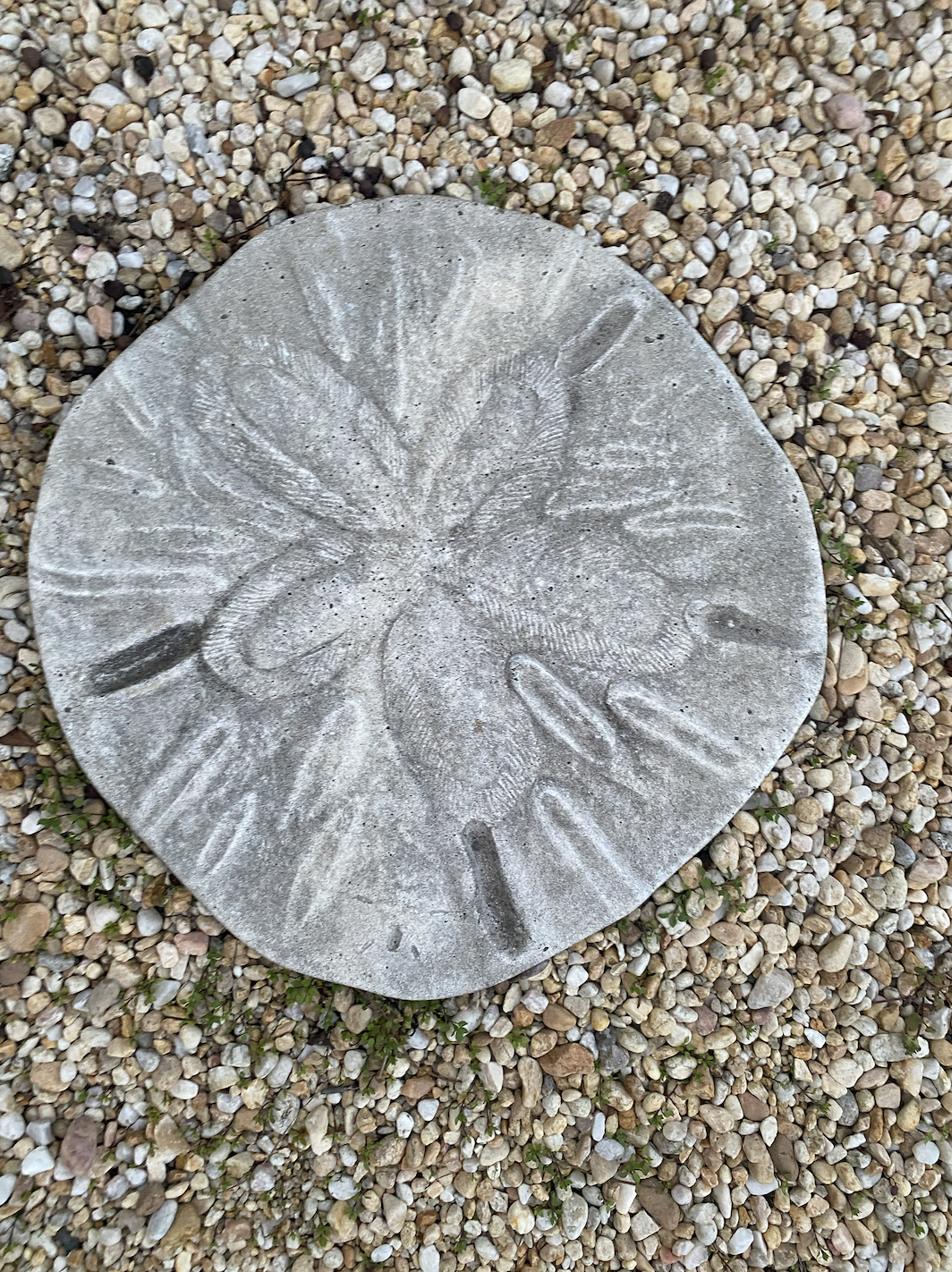 Screen Shot 2024-02-11 at 12.44.16 PM.png