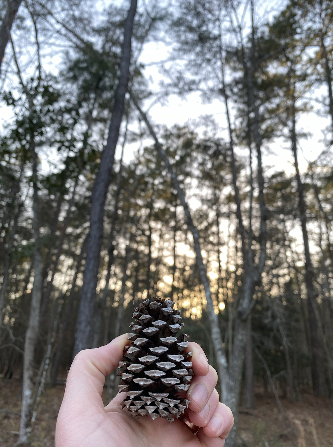 Screen Shot 2024-02-11 at 12.44.33 PM.png