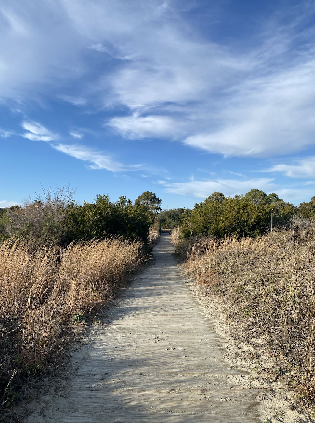 Screen Shot 2024-02-11 at 12.43.32 PM.png