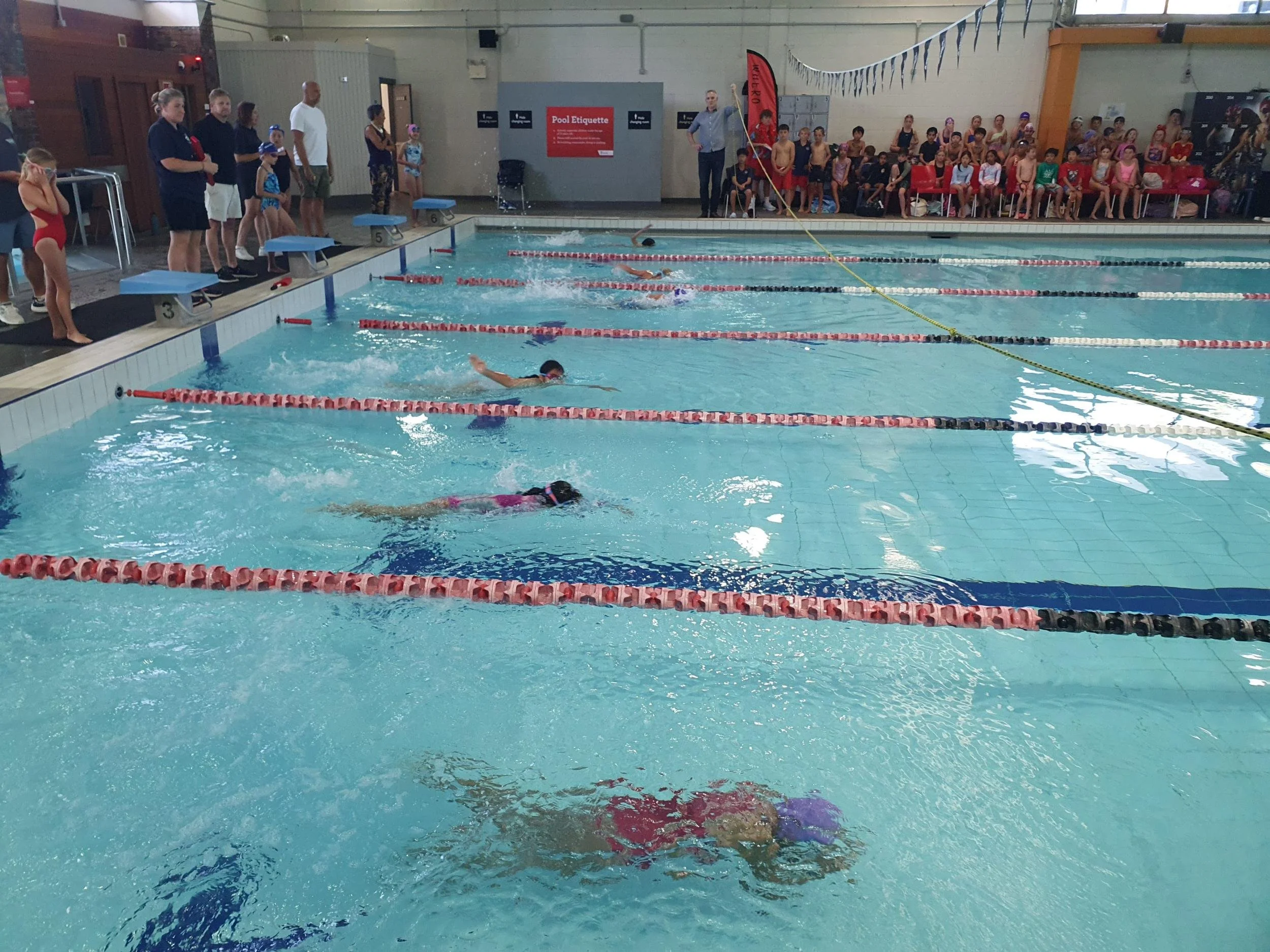 Bay Suburbs Swimming Results
