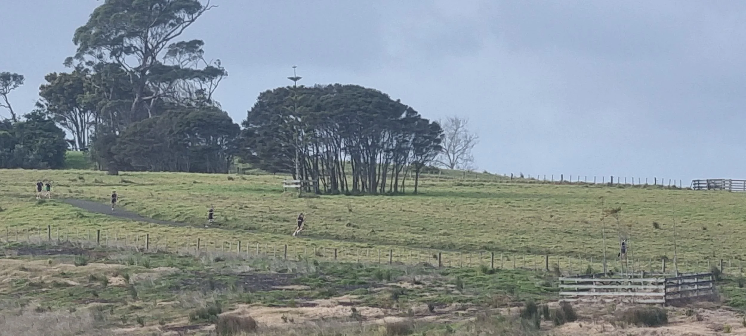 St Heliers Cross Country