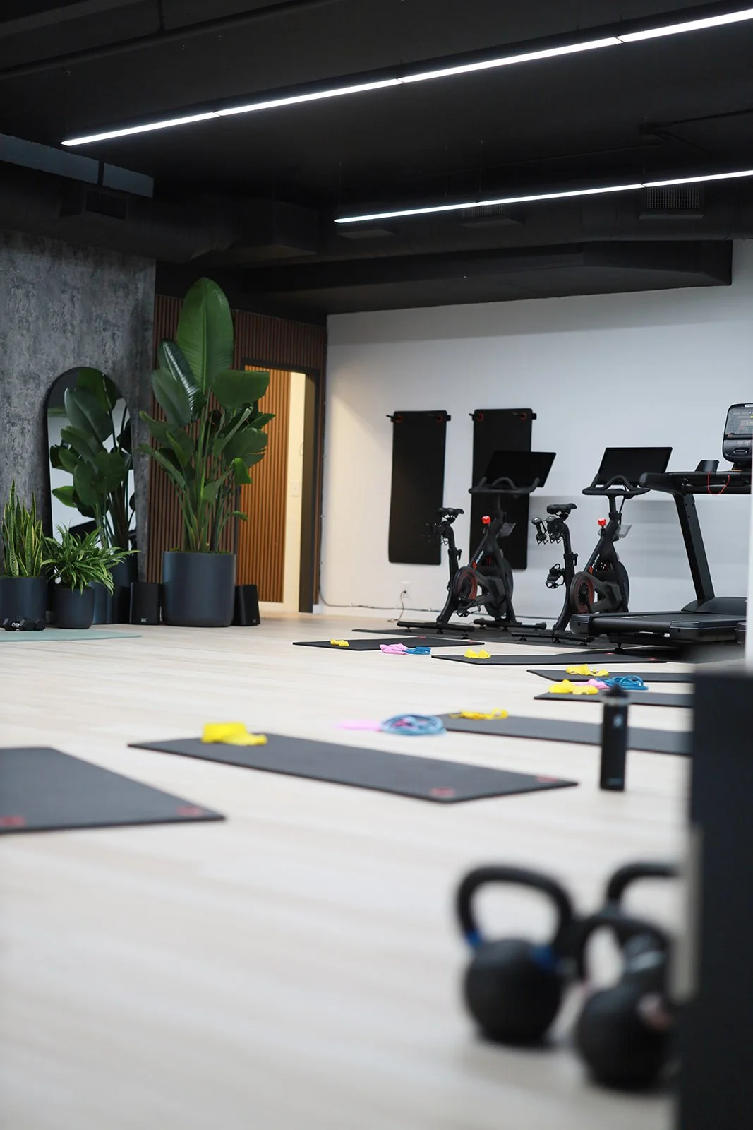 IMG_9699_websize (1).jpg