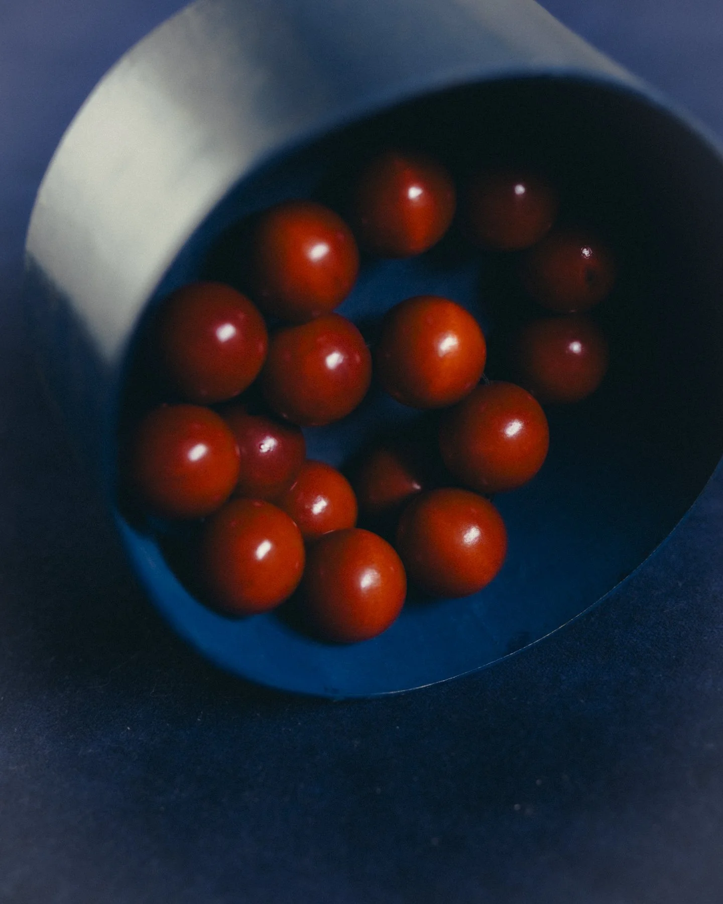 Liv Mròz_Art Direction_005.jpg