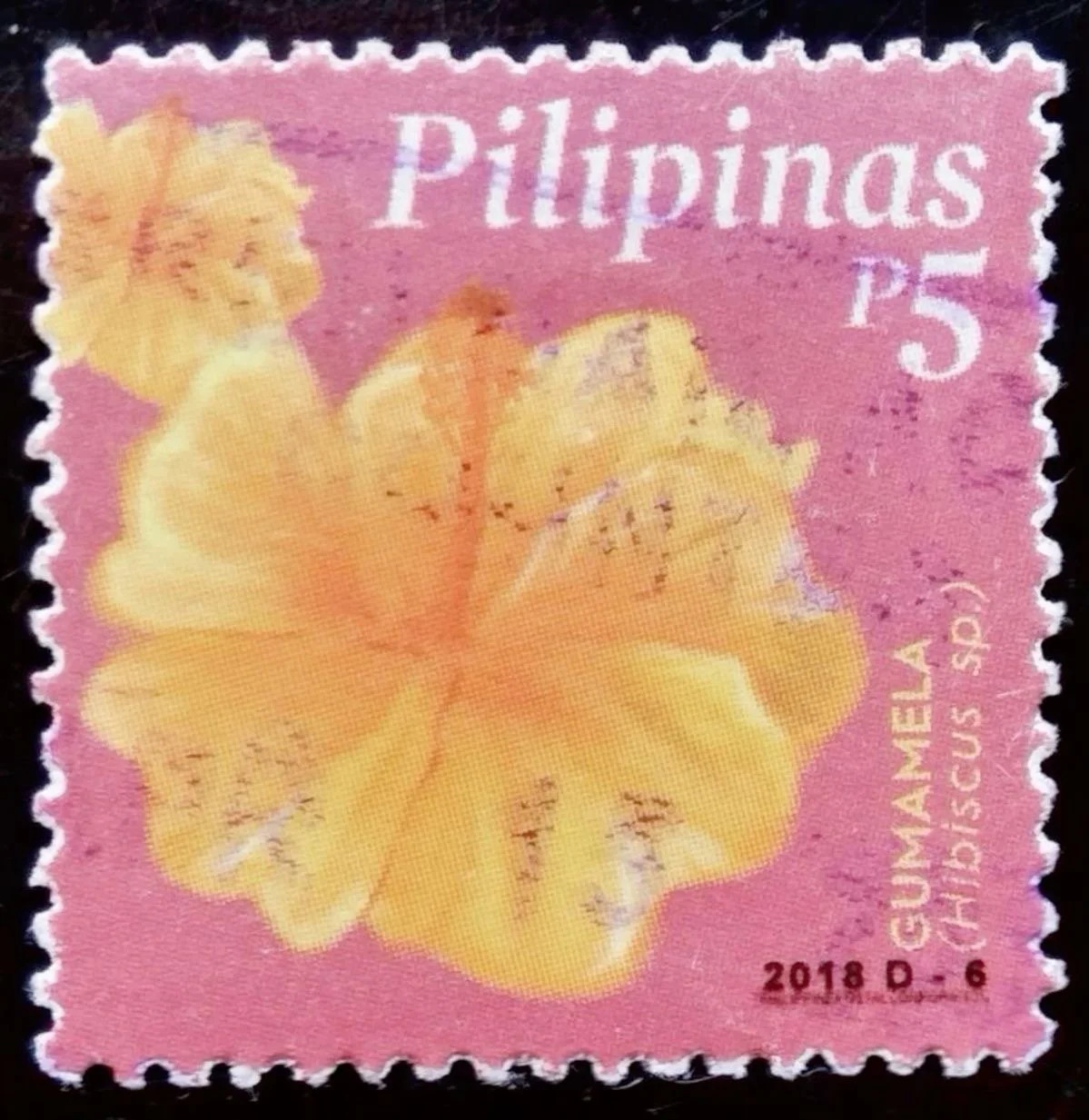 A Conversation on Filipino Identity with Dr. Valiente-Neighbours (Dr. V)