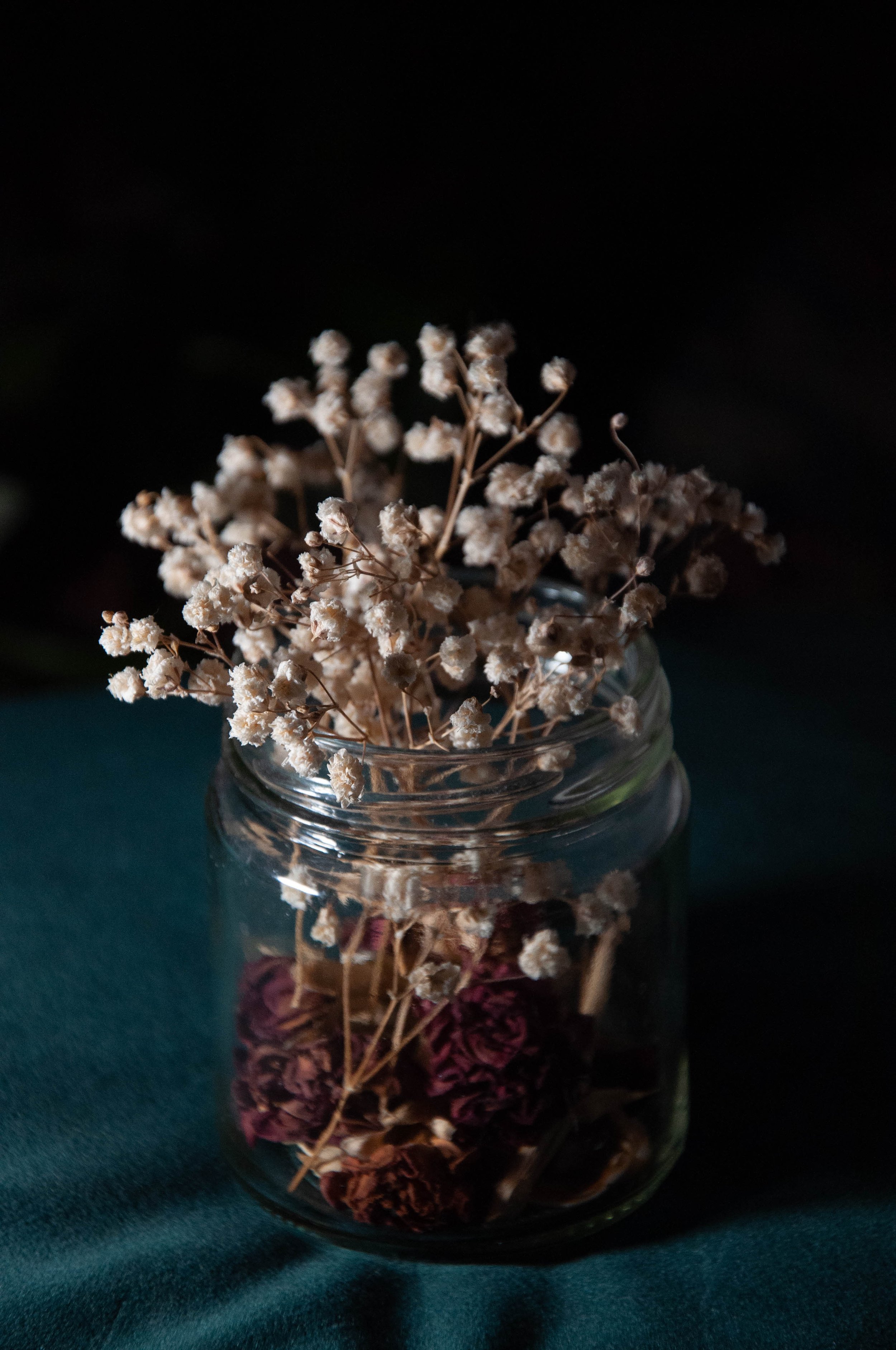 "baby's breath and roses" photography