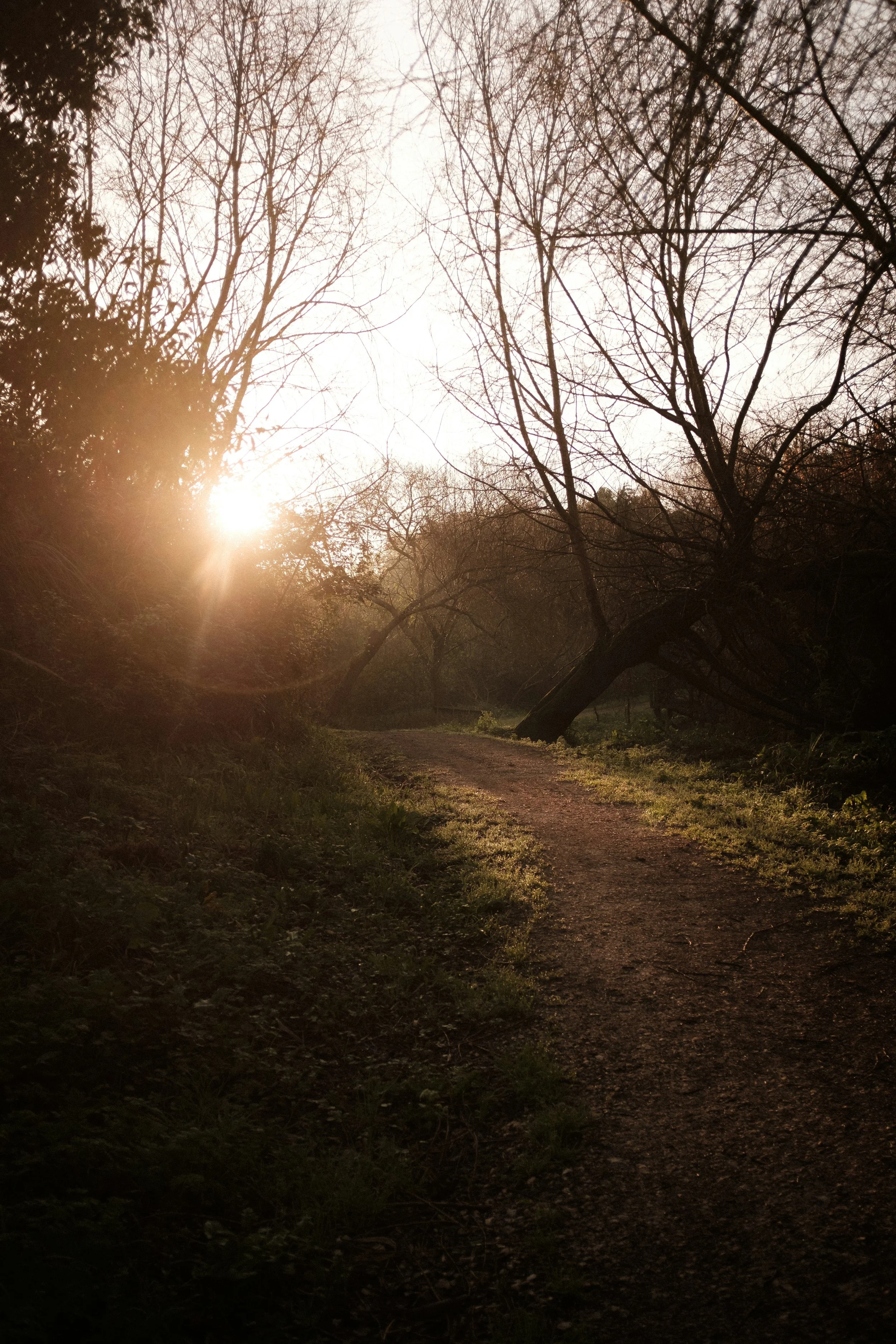 Outside the Box: Why Recovery Is Not One Size Fits All