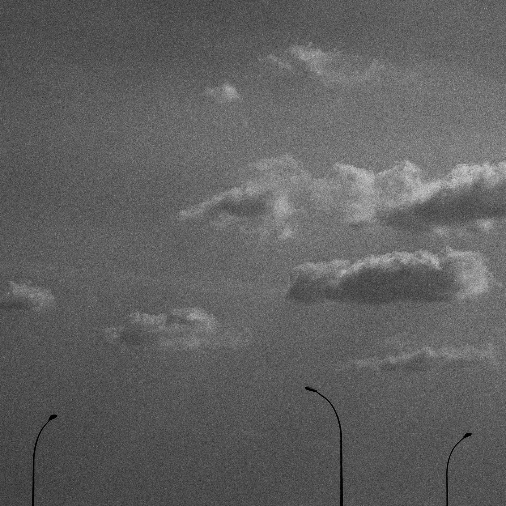 R0046620.jpeg