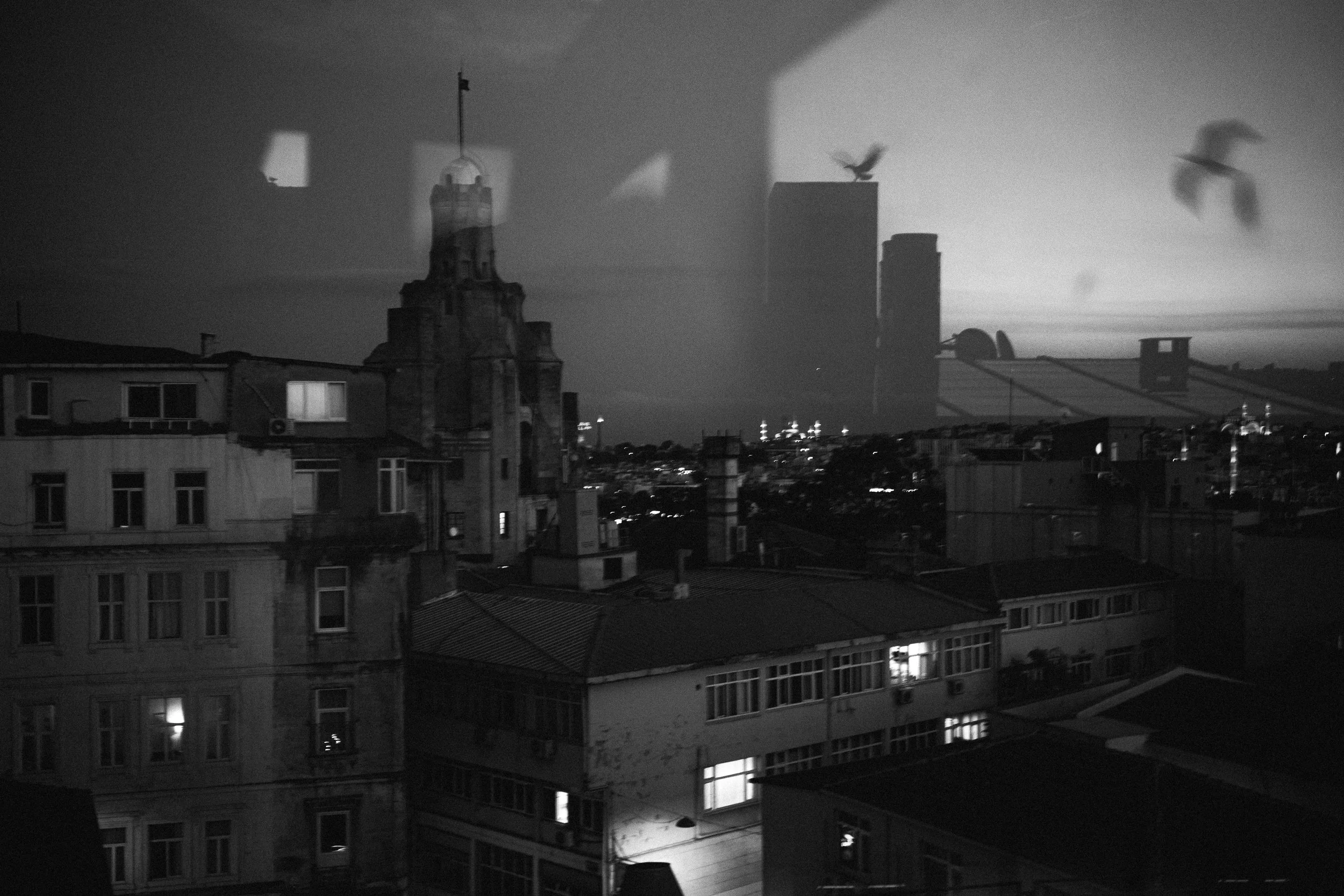 R0051009.jpeg