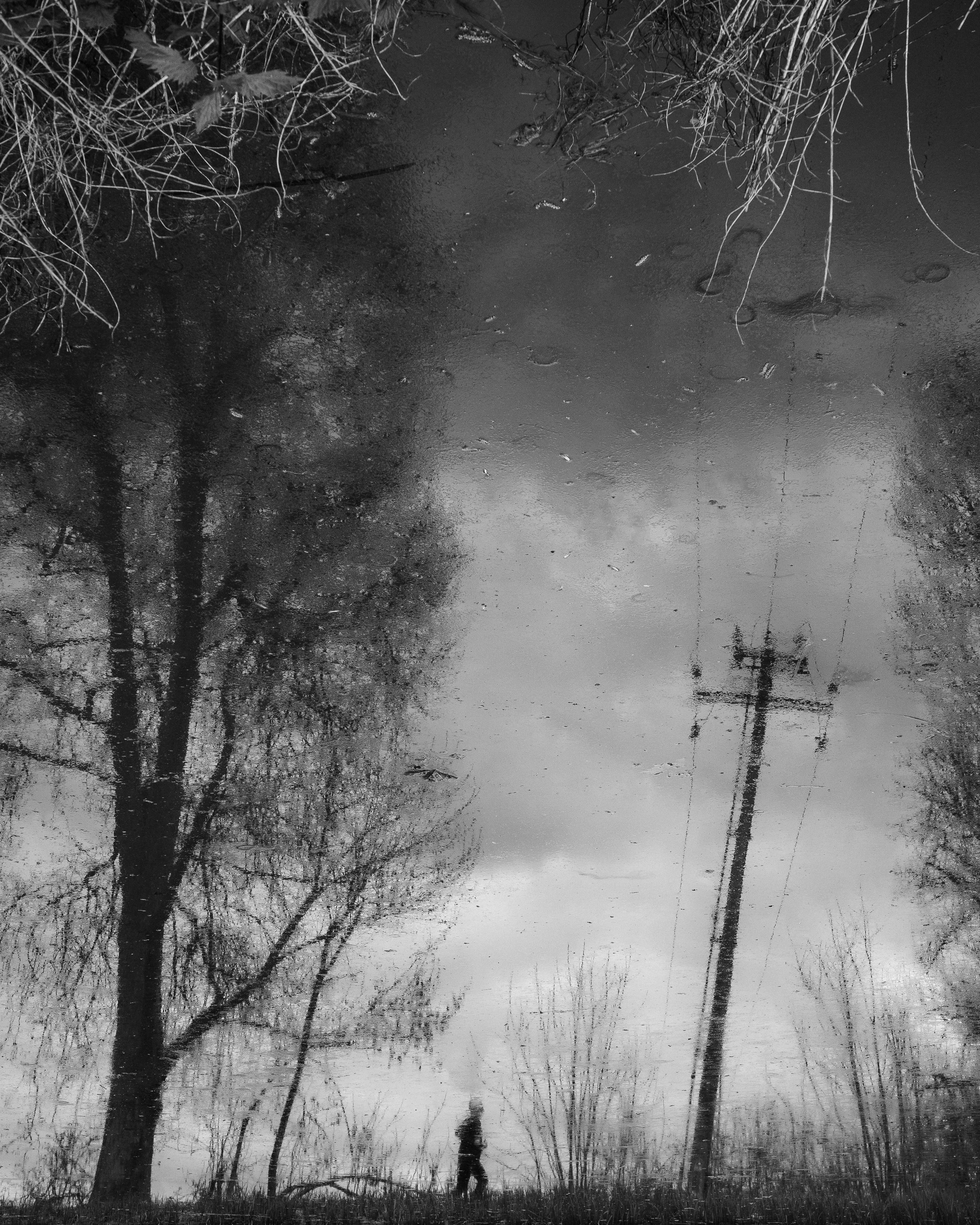 R0025358.jpeg