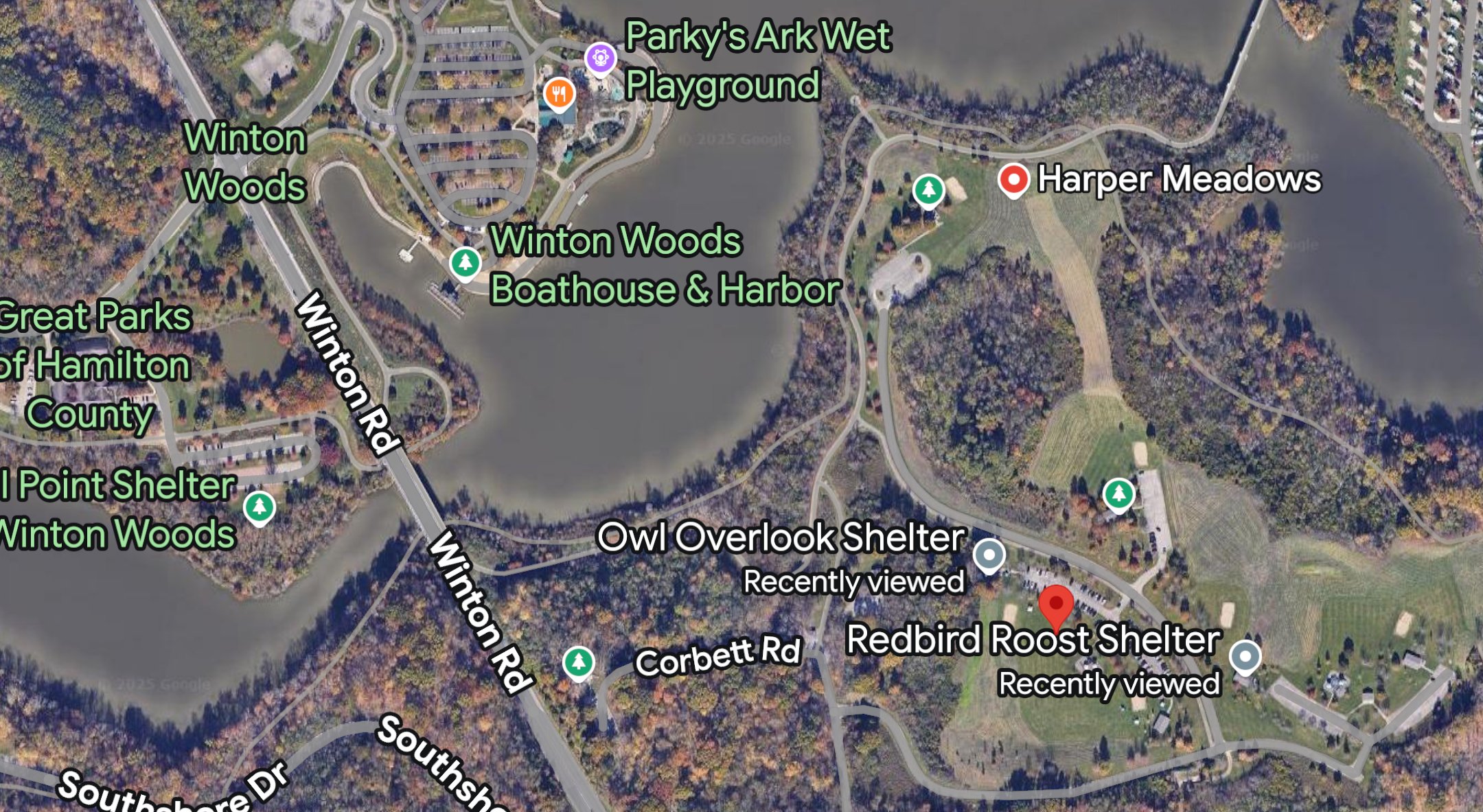 Community Wellness: Workout in the Park