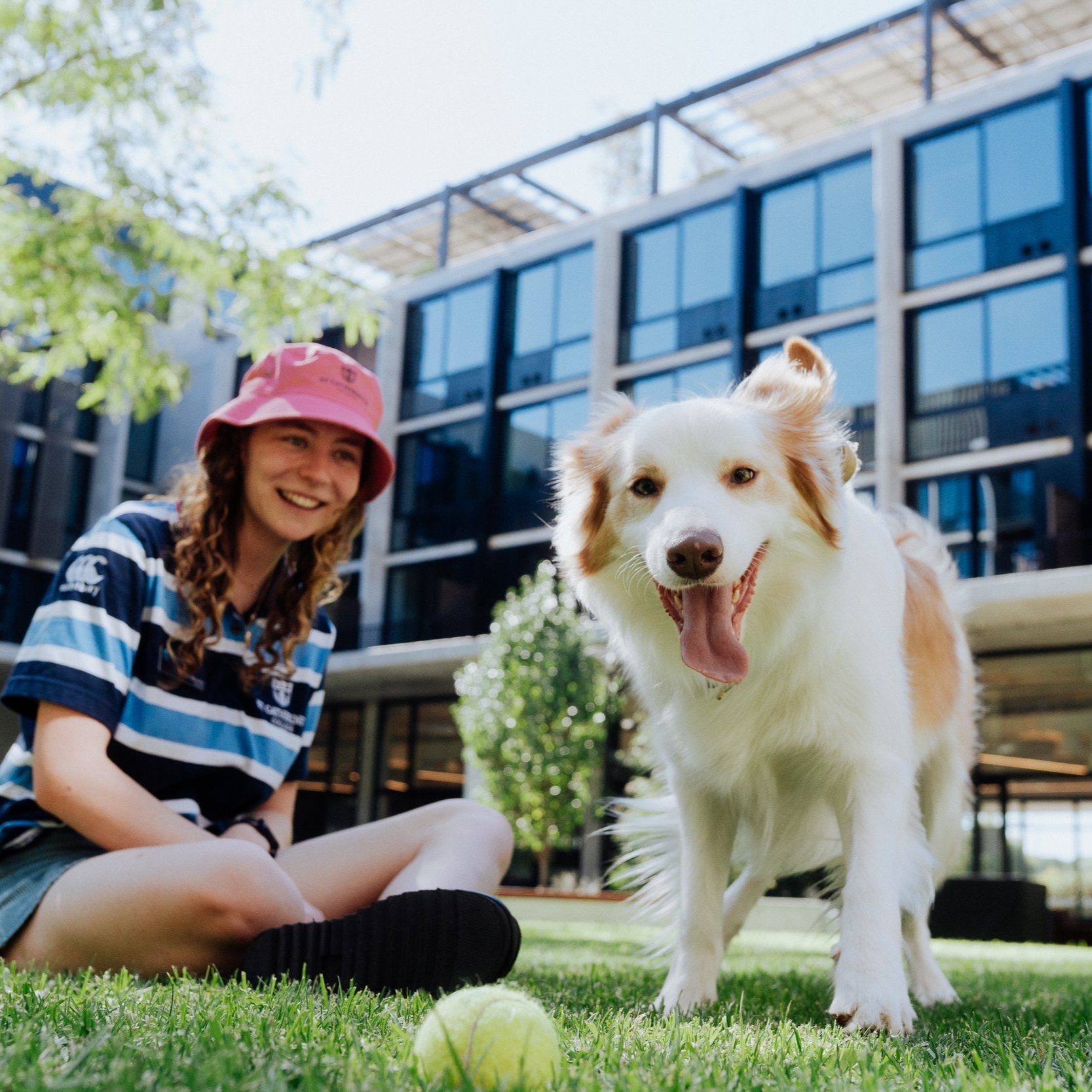 Support and Wellbeing
Set Yourself Up for Success. Your success is our top priority. Whether you are an undergraduate, postgraduate, local or international student, St Catherine’s College provides the support you need to thrive at university. Wit