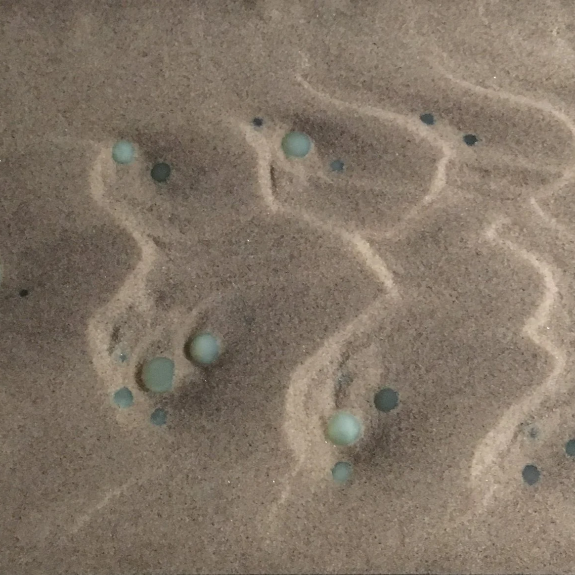 Sand dunes developing in a laboratory channel.
