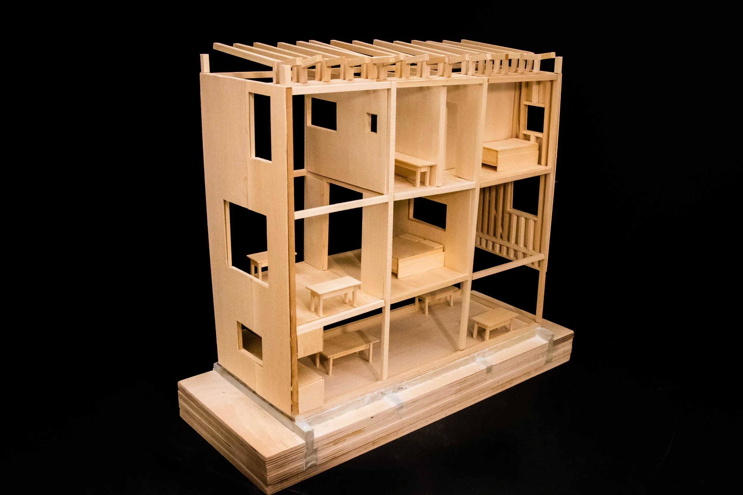 Wolf House Model