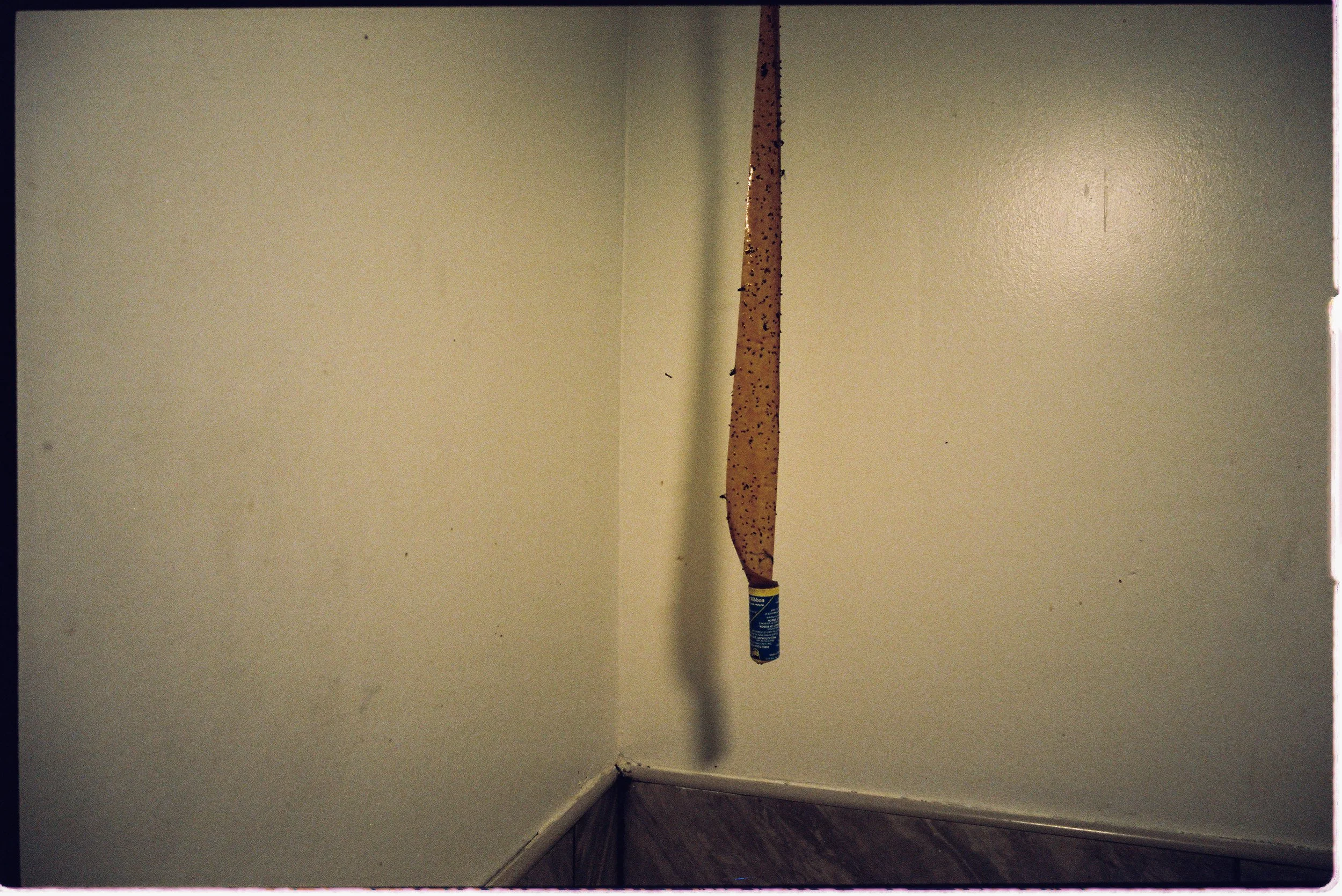 new-york-jan-2025-film-edited-31.JPG
